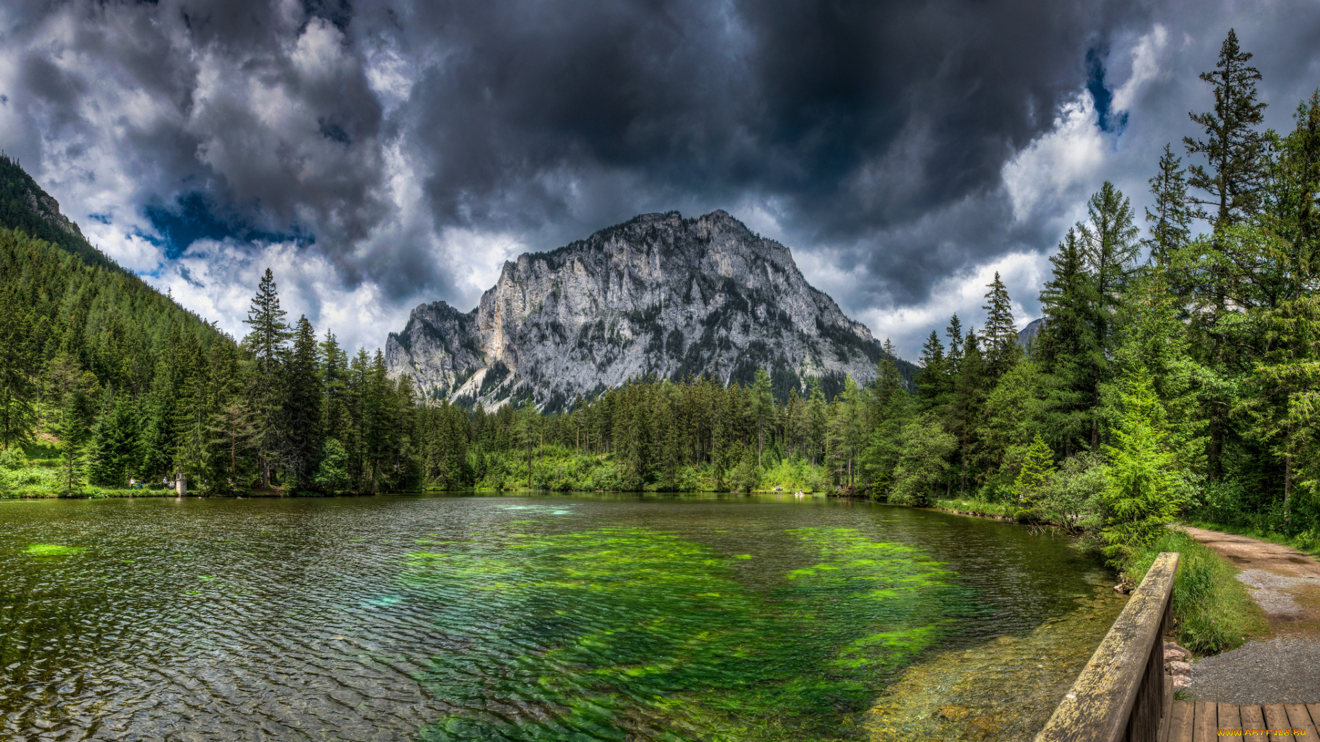 природа, реки, озера, простор