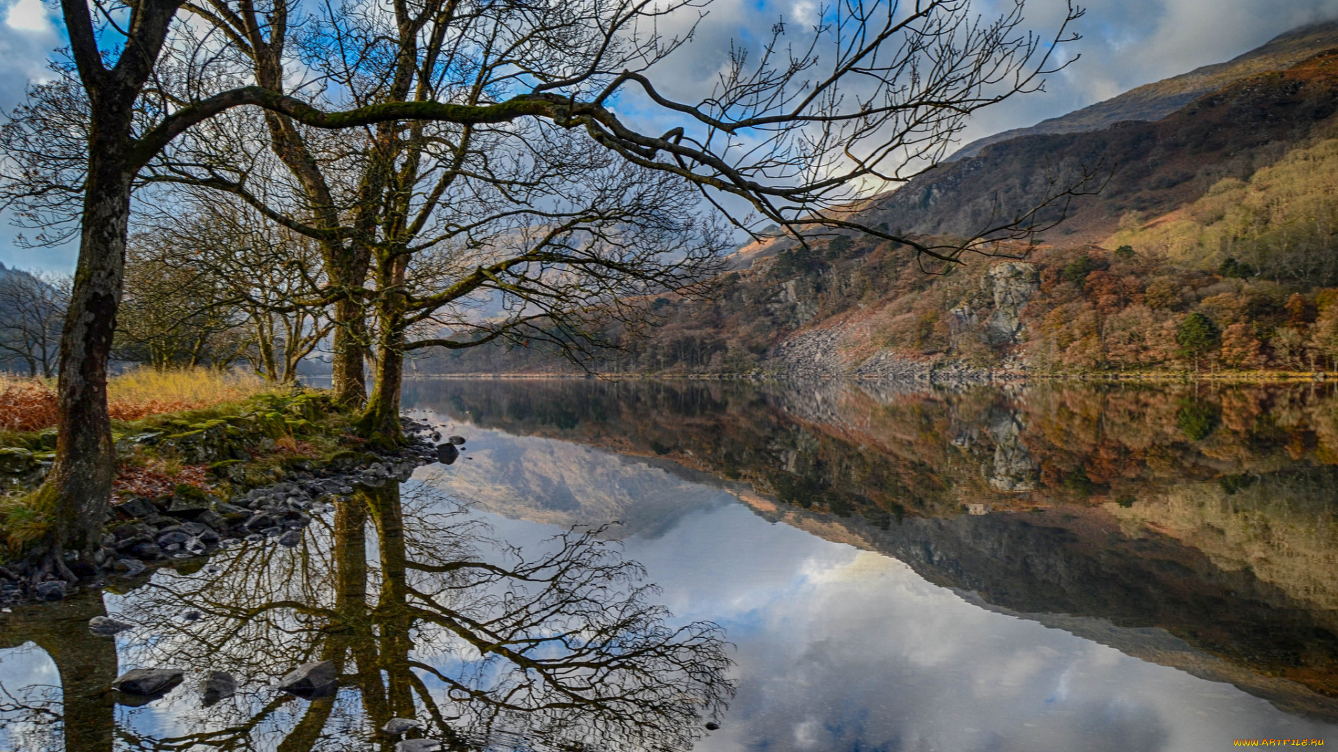 природа, реки, озера, простор