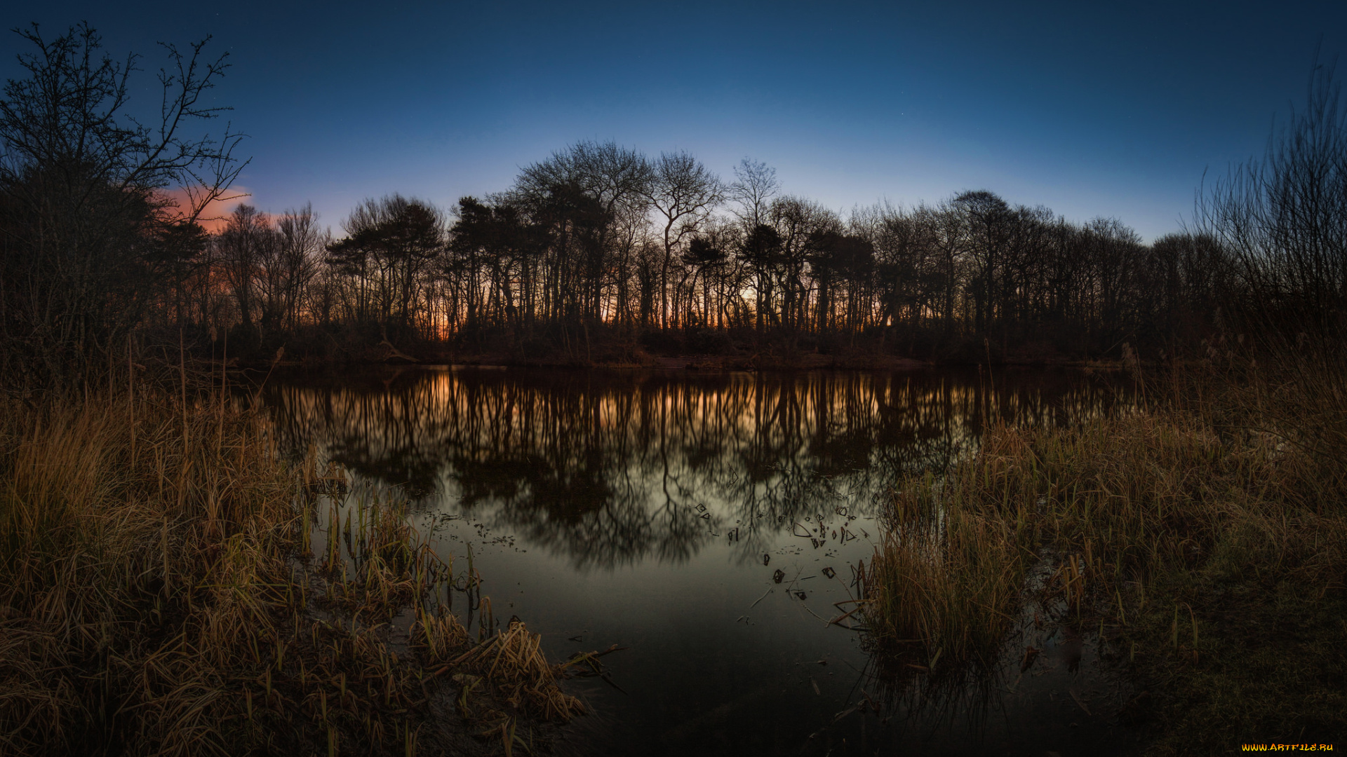 природа, реки, озера, простор