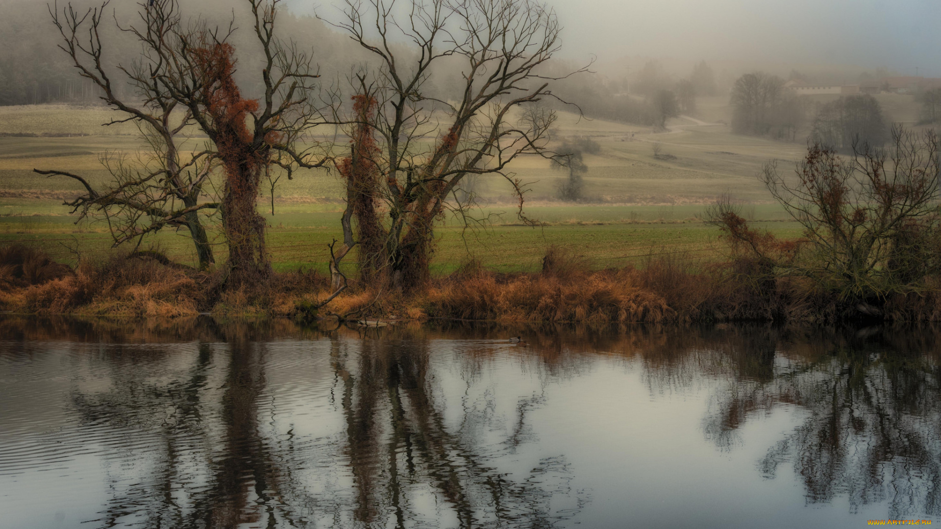 природа, реки, озера, простор
