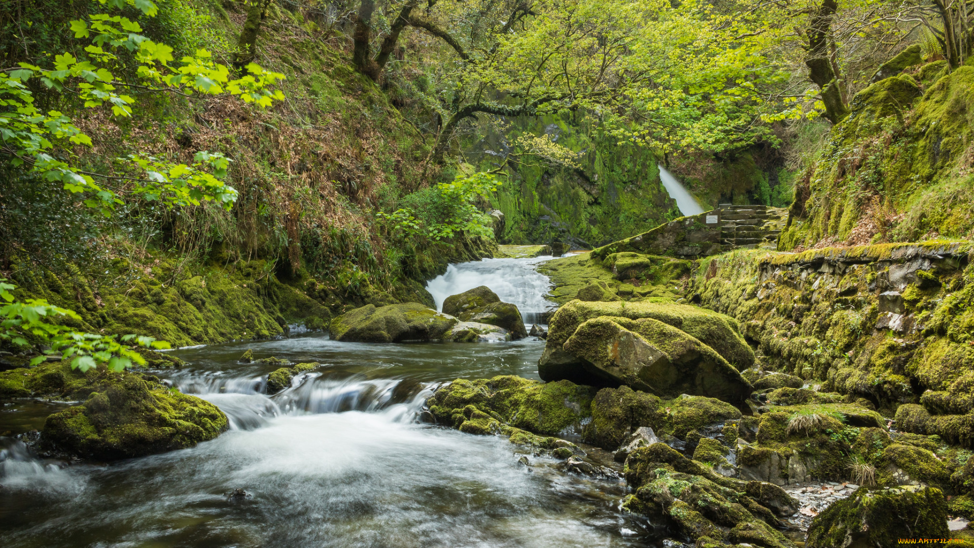 природа, реки, озера, простор