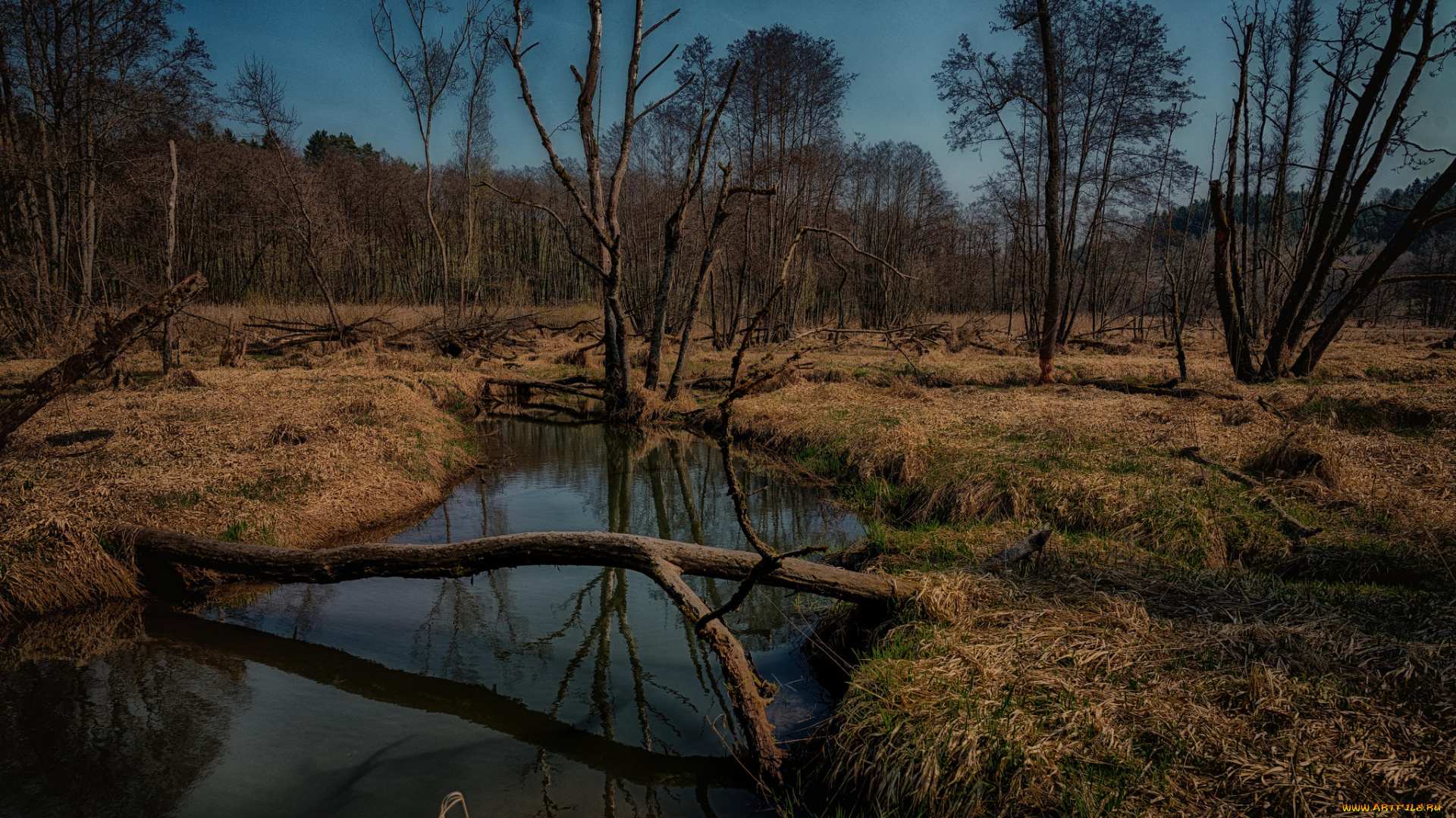 природа, реки, озера, простор