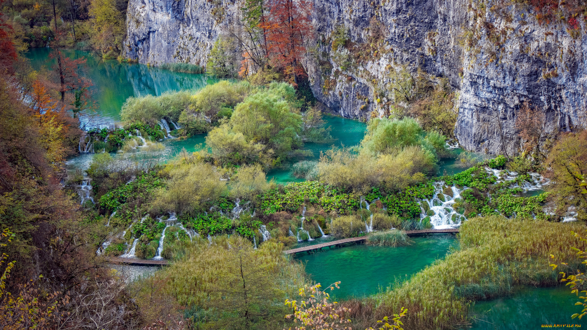 природа, реки, озера, река