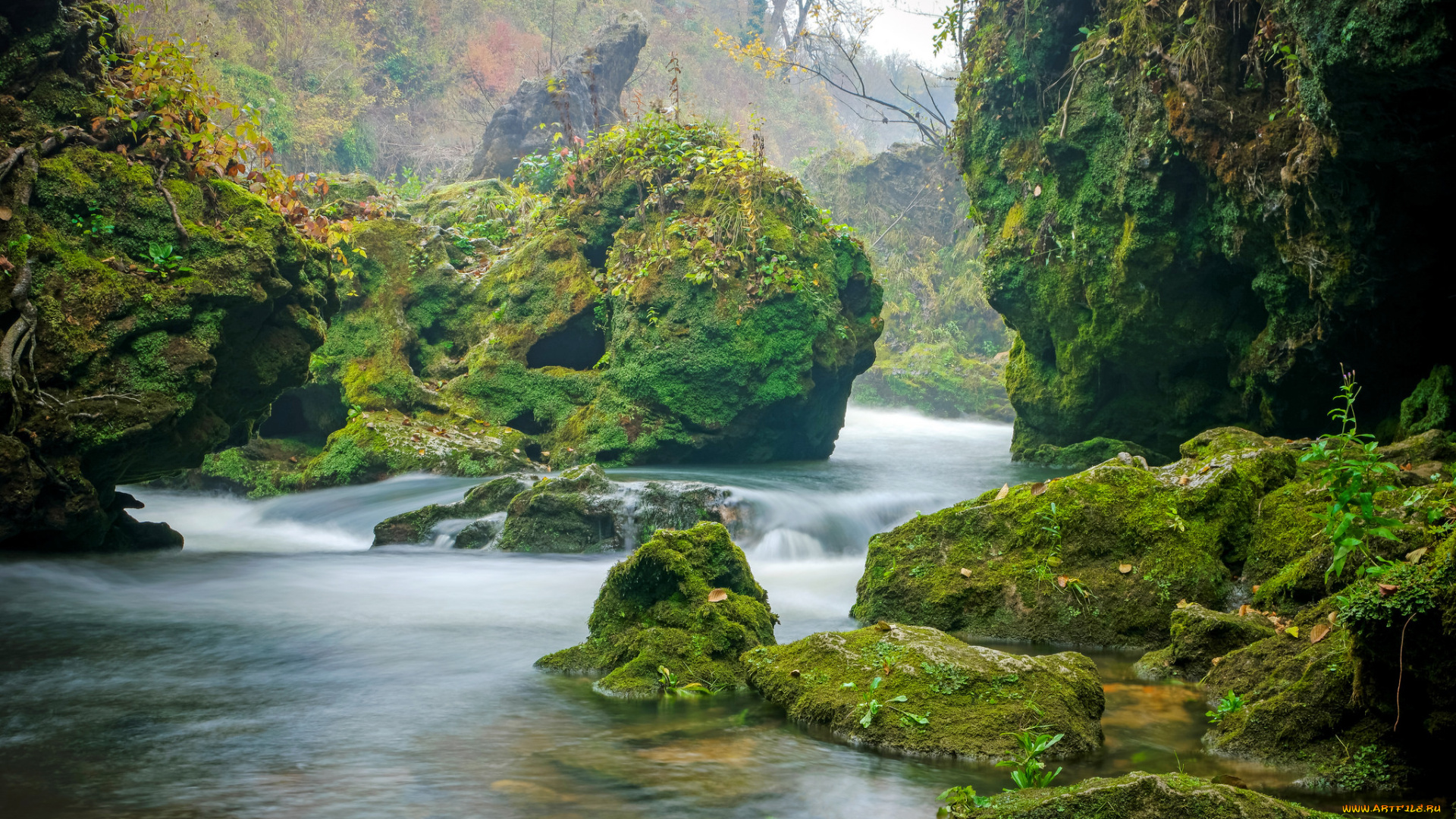 природа, реки, озера, река