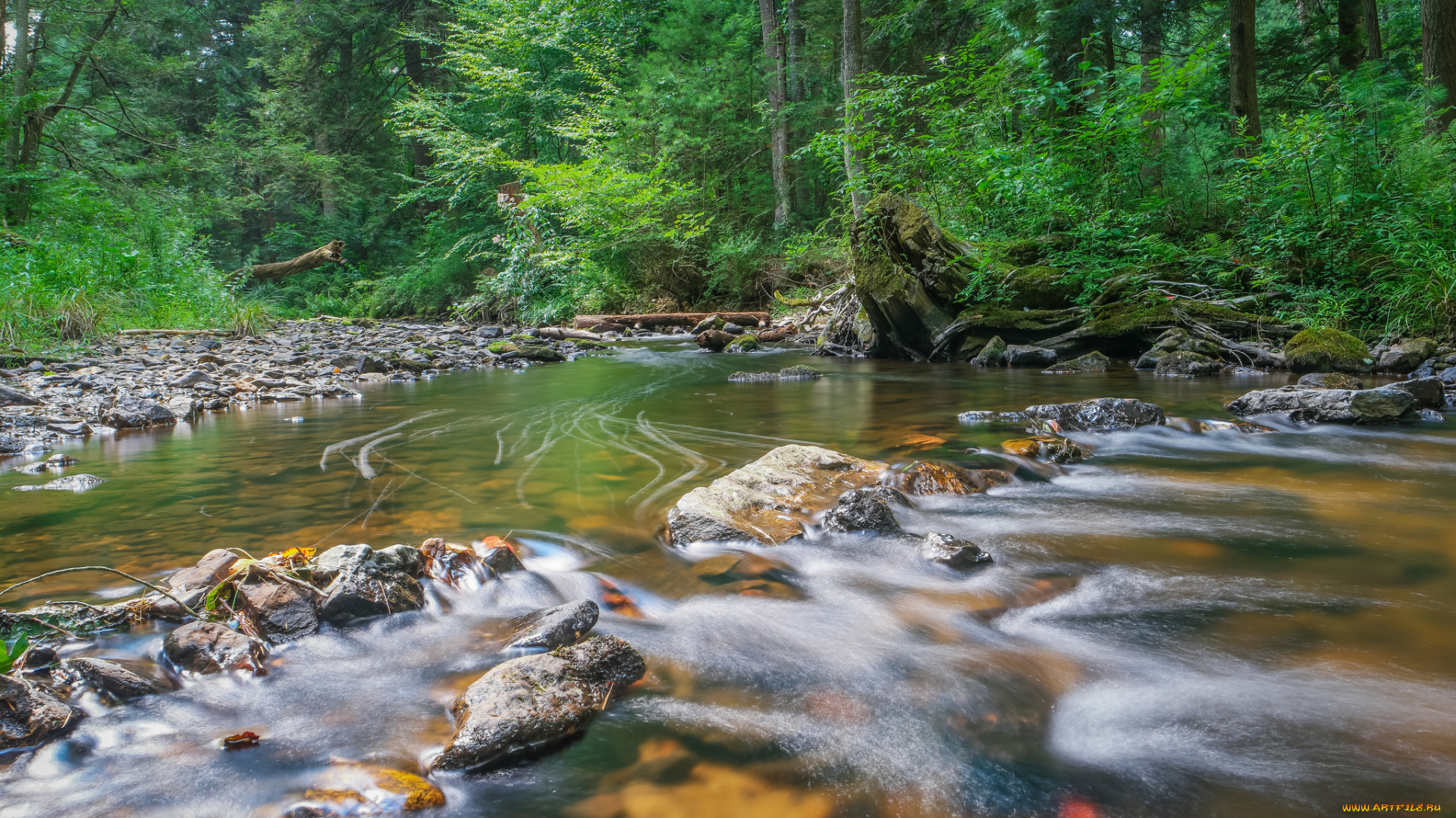 природа, реки, озера, река