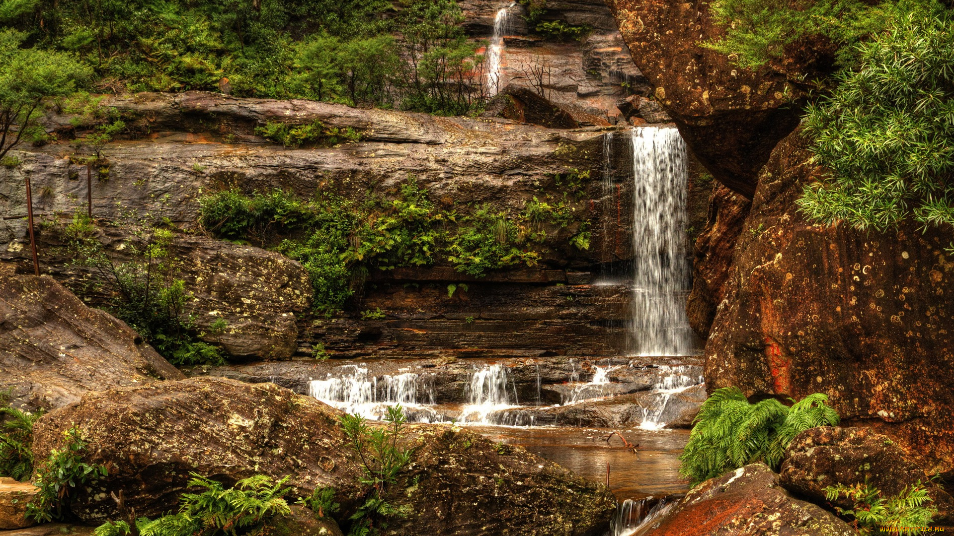 природа, водопады, австралия, кусты, водопад, камни, wentworth, falls
