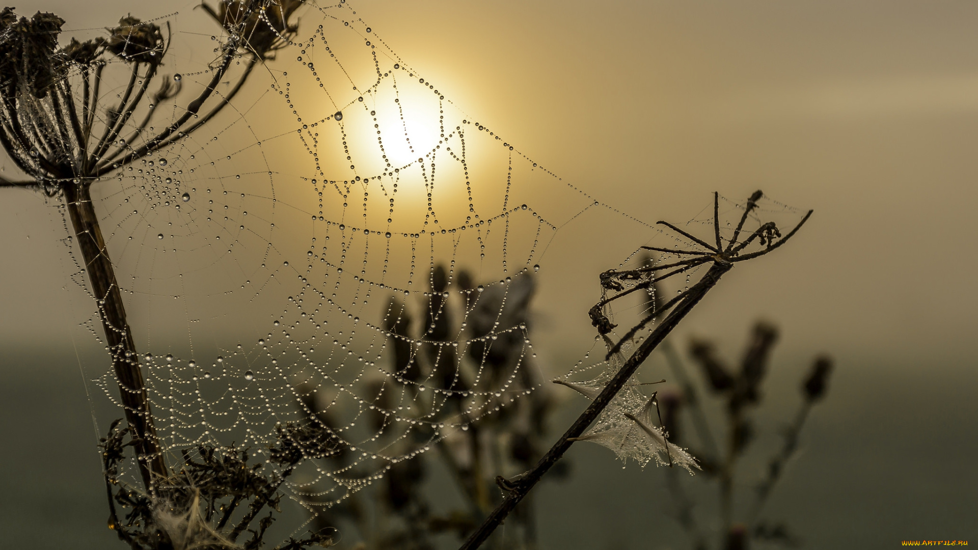 природа, восходы, закаты, простор