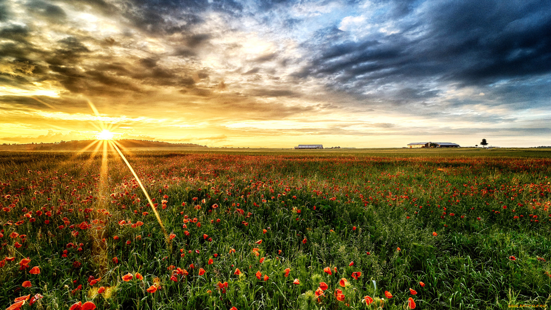 природа, восходы, закаты, простор