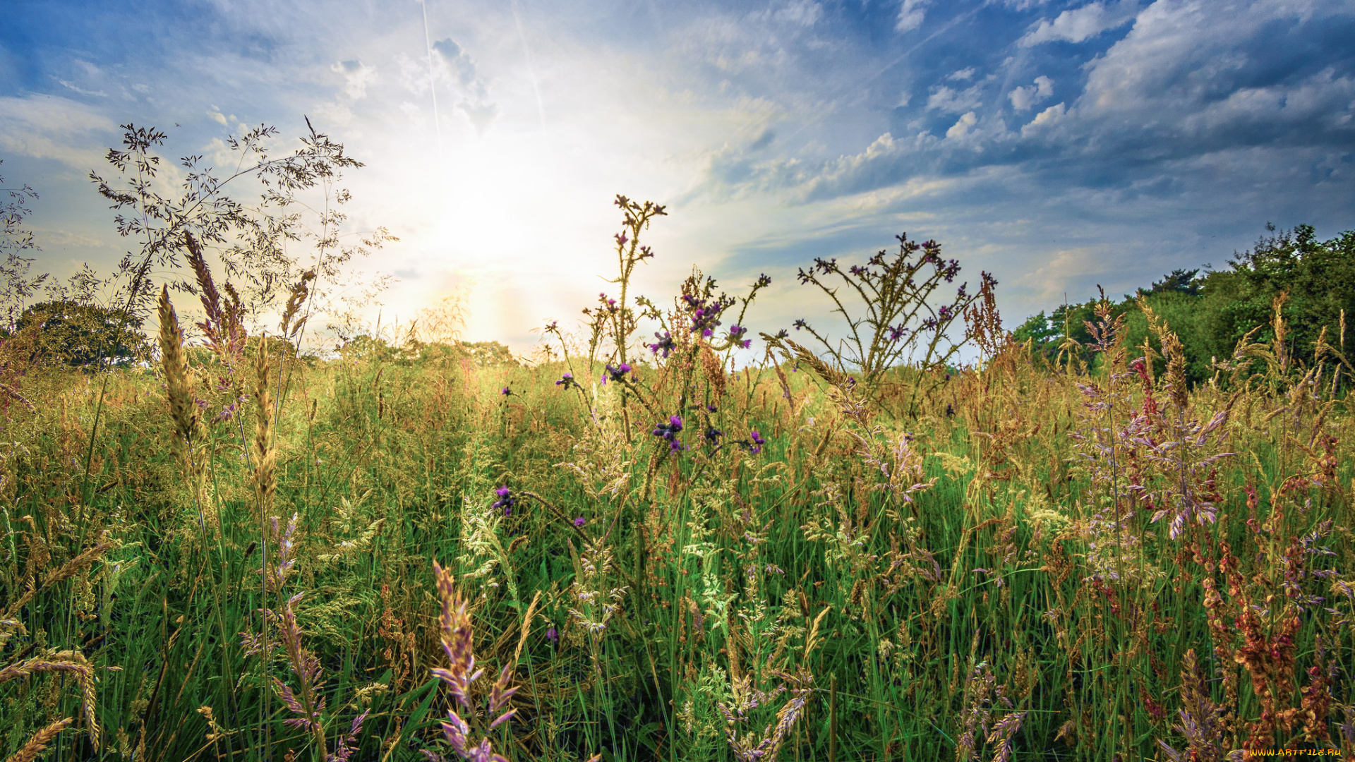 природа, восходы, закаты, простор
