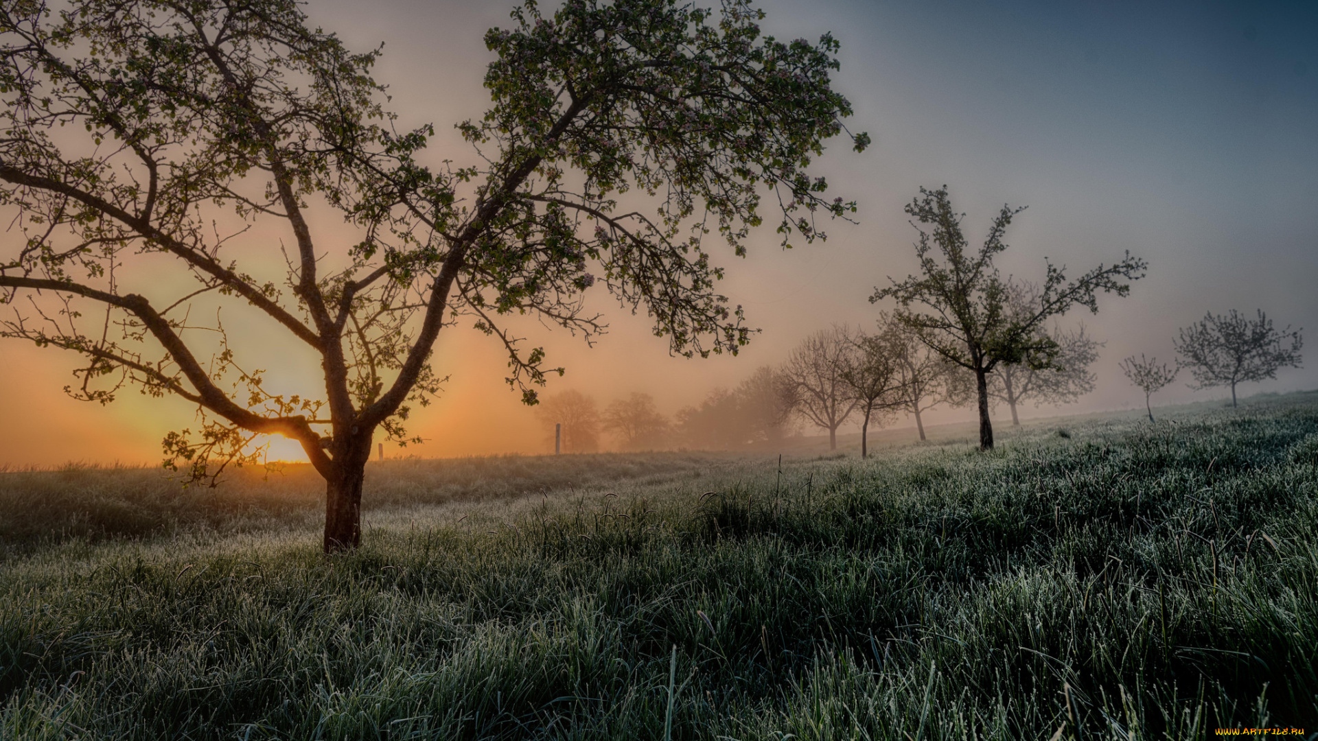 природа, восходы, закаты, простор