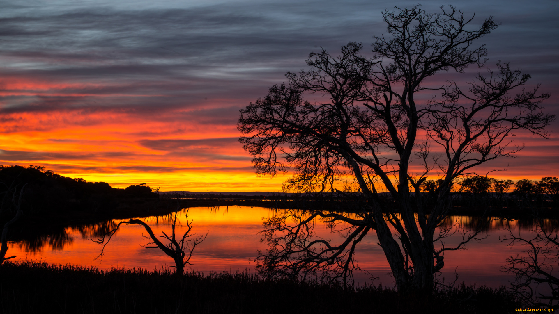 природа, восходы, закаты, закат