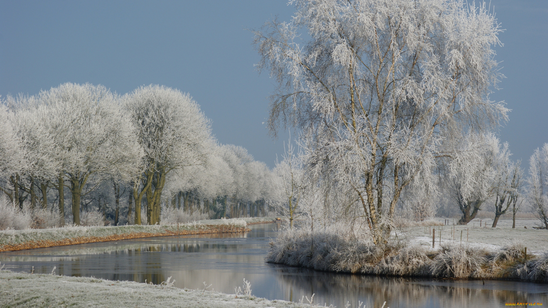 природа, зима