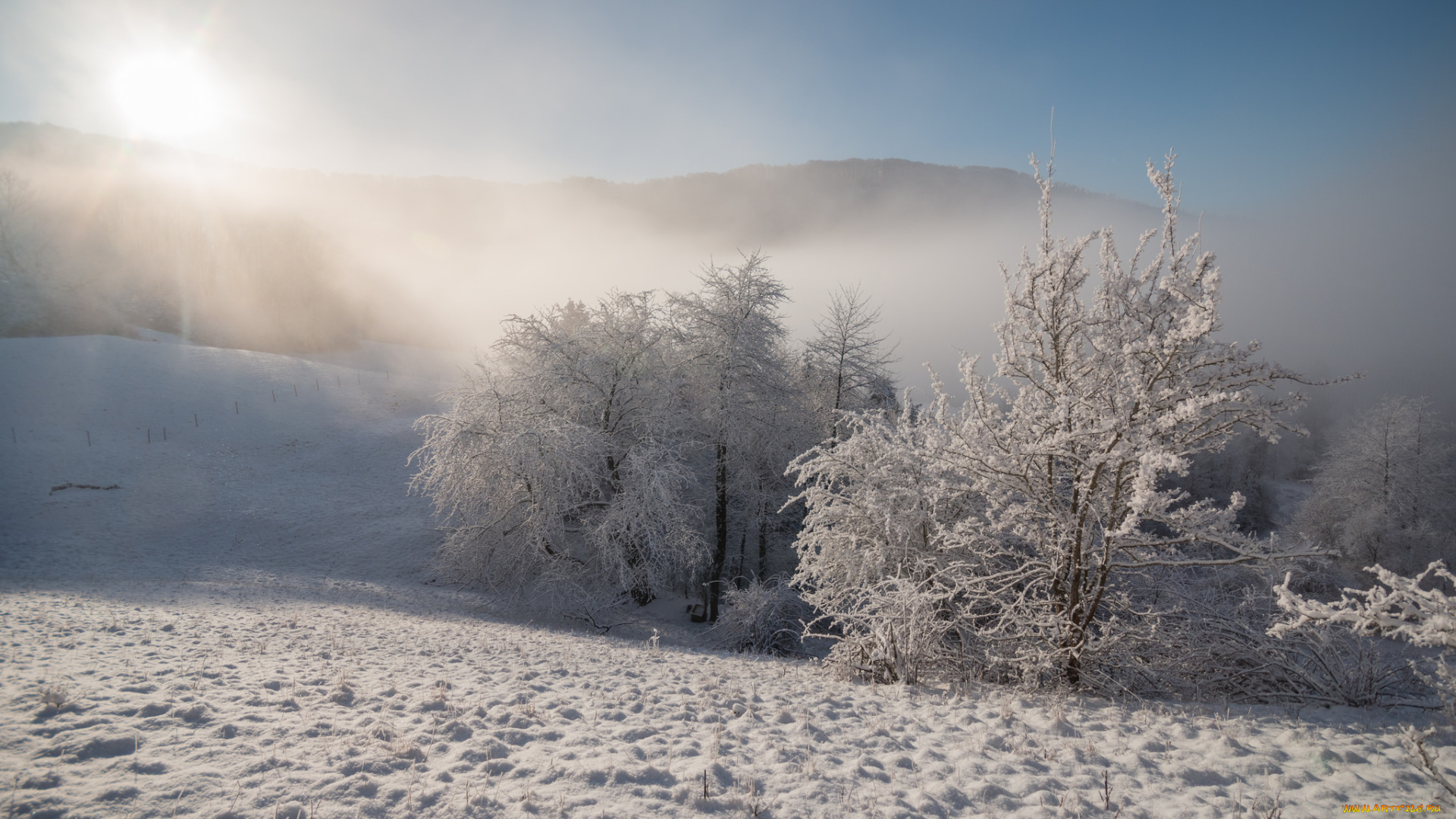 природа, зима