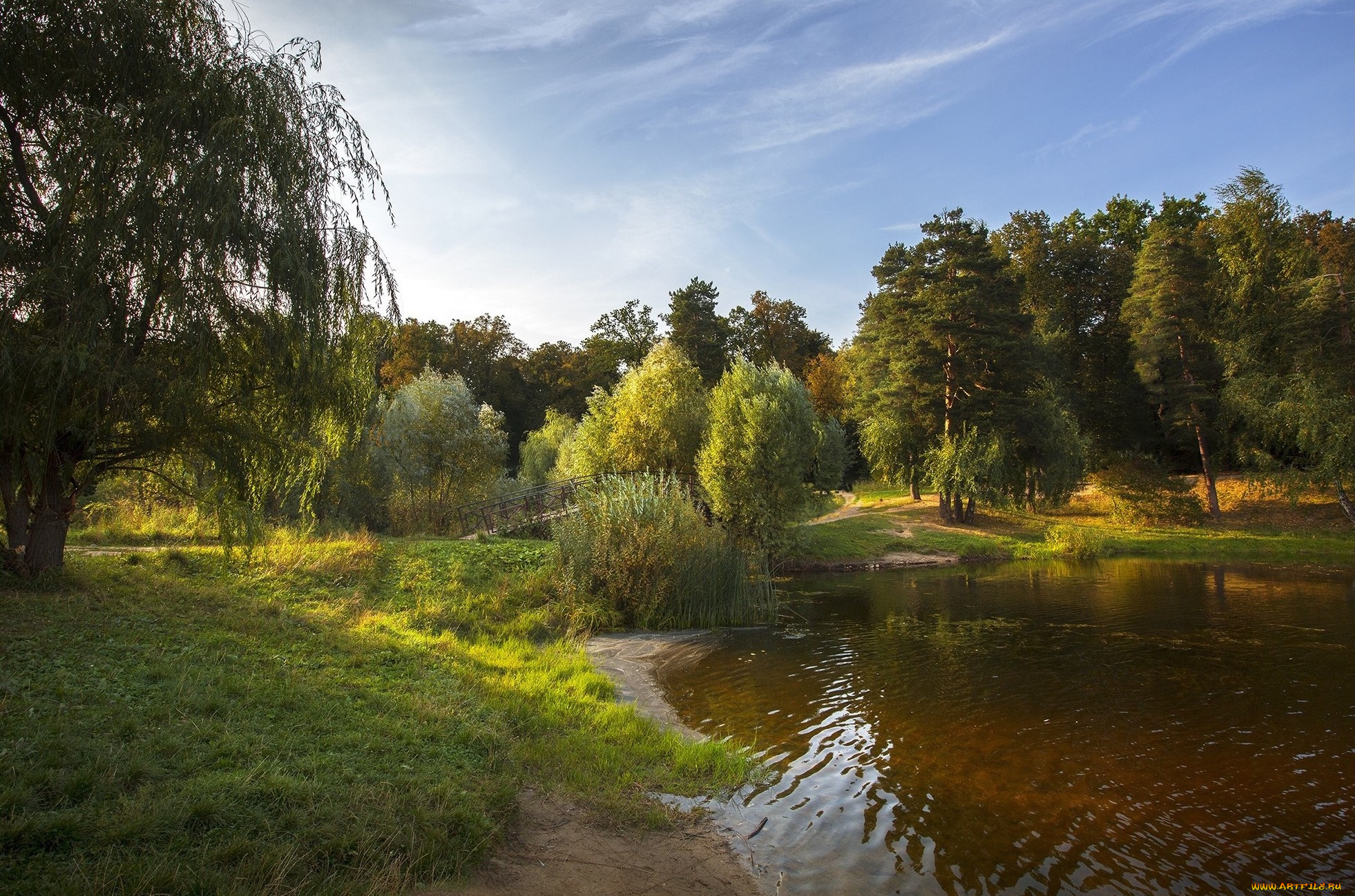 природа, реки, озера, озеро, трава, лес, cordovan, рябь, теплая, осень