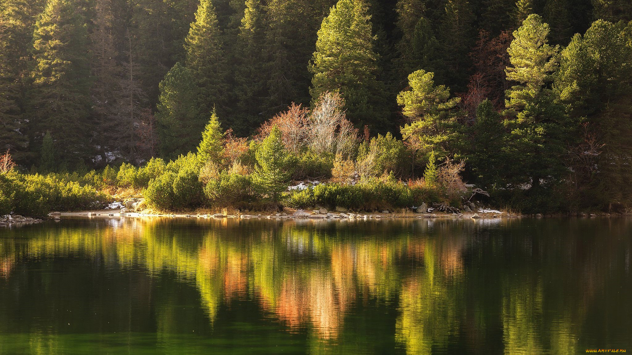 природа, реки, озера, река, отражение
