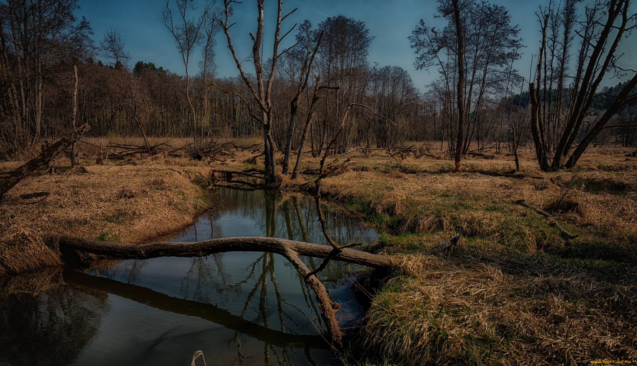 природа, реки, озера, простор