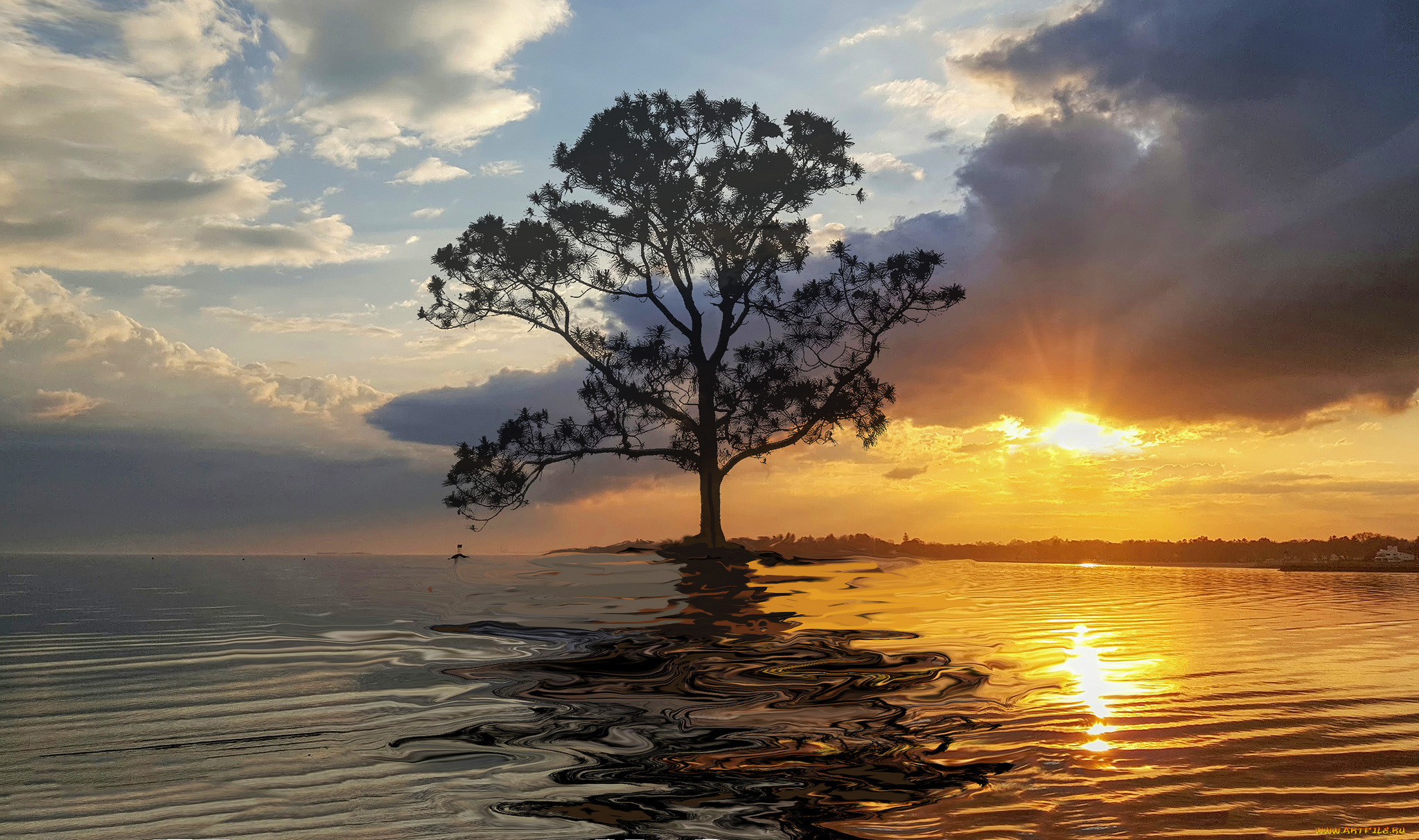 природа, восходы, закаты, простор