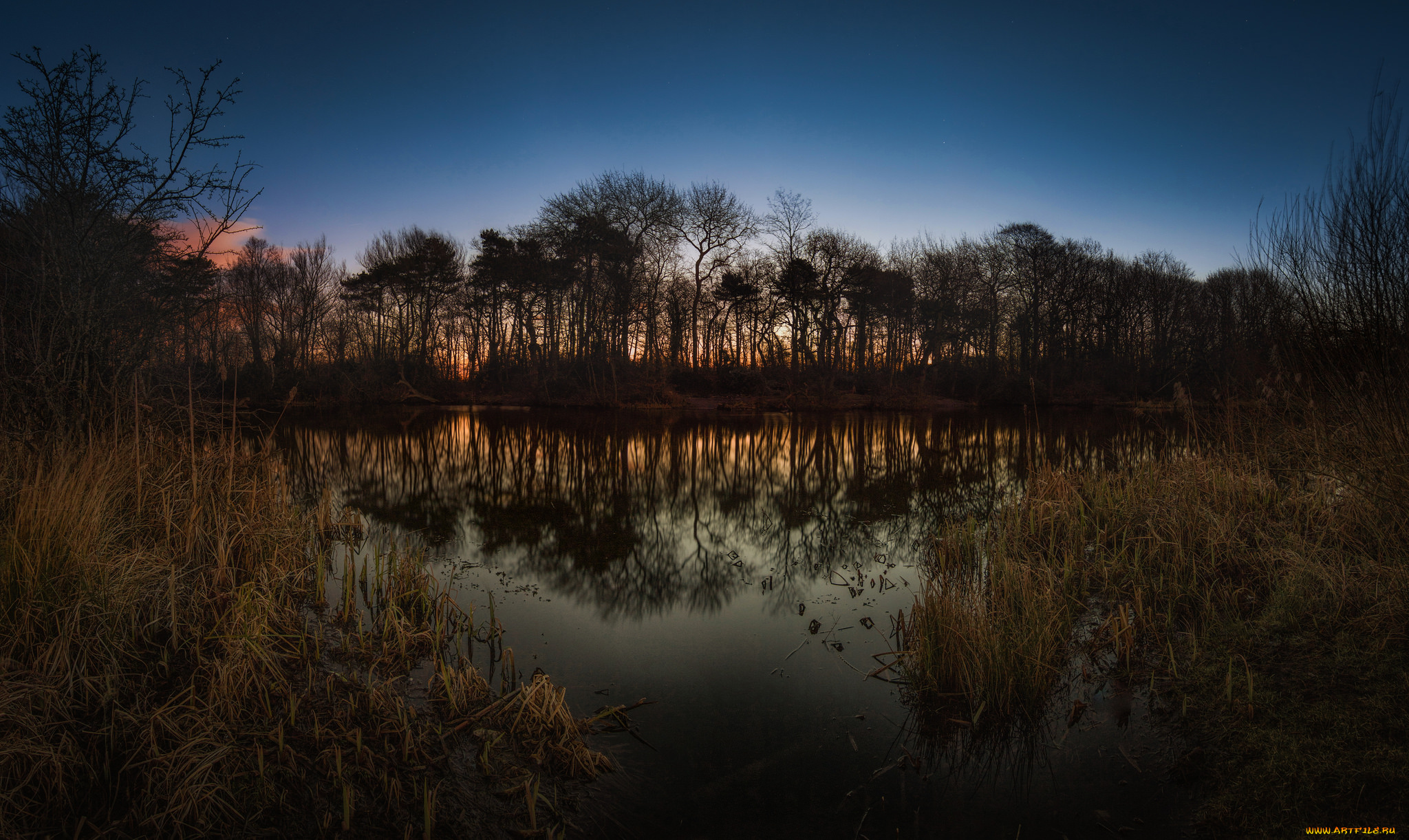 природа, реки, озера, простор