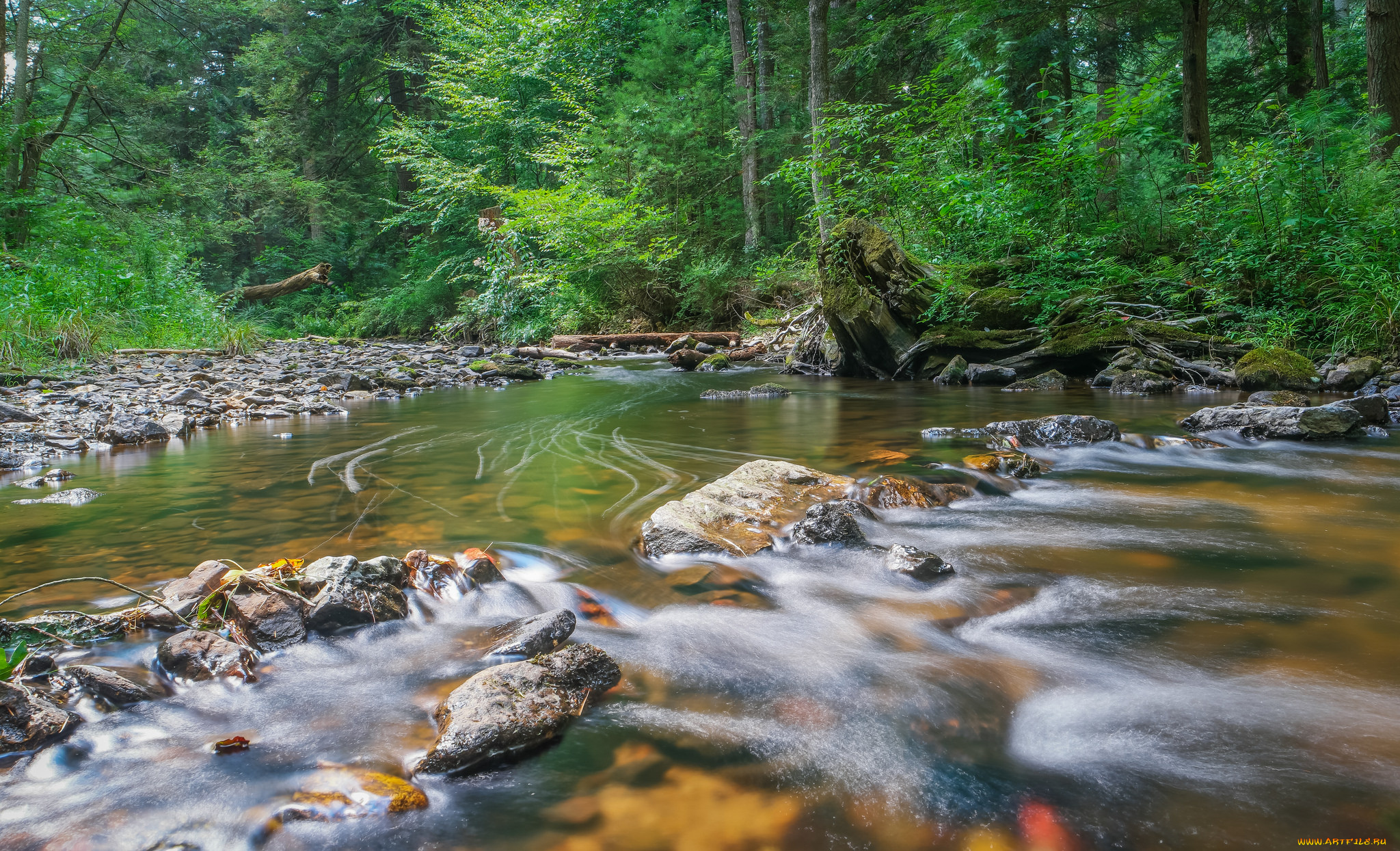 природа, реки, озера, река