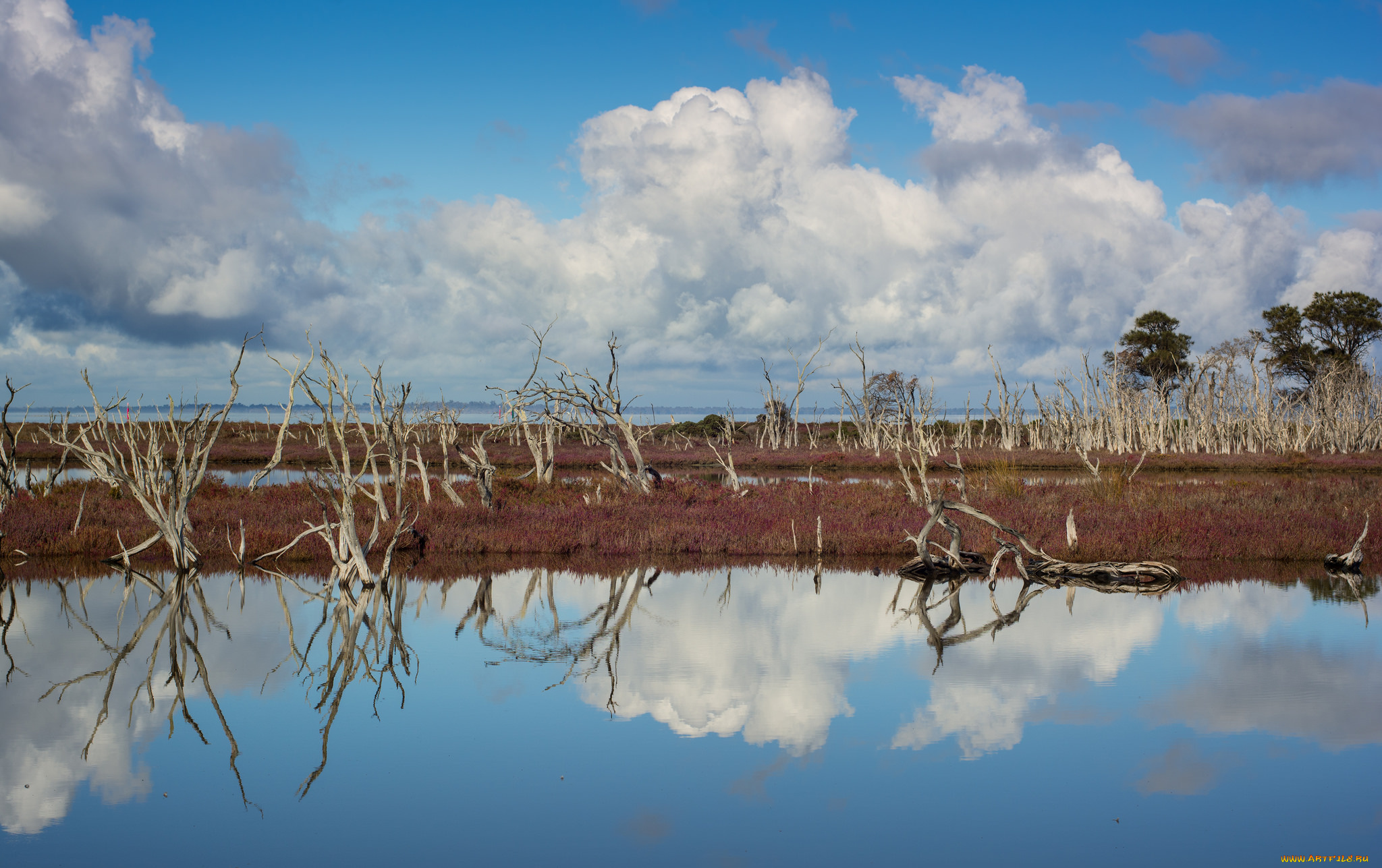 природа, реки, озера, отражение