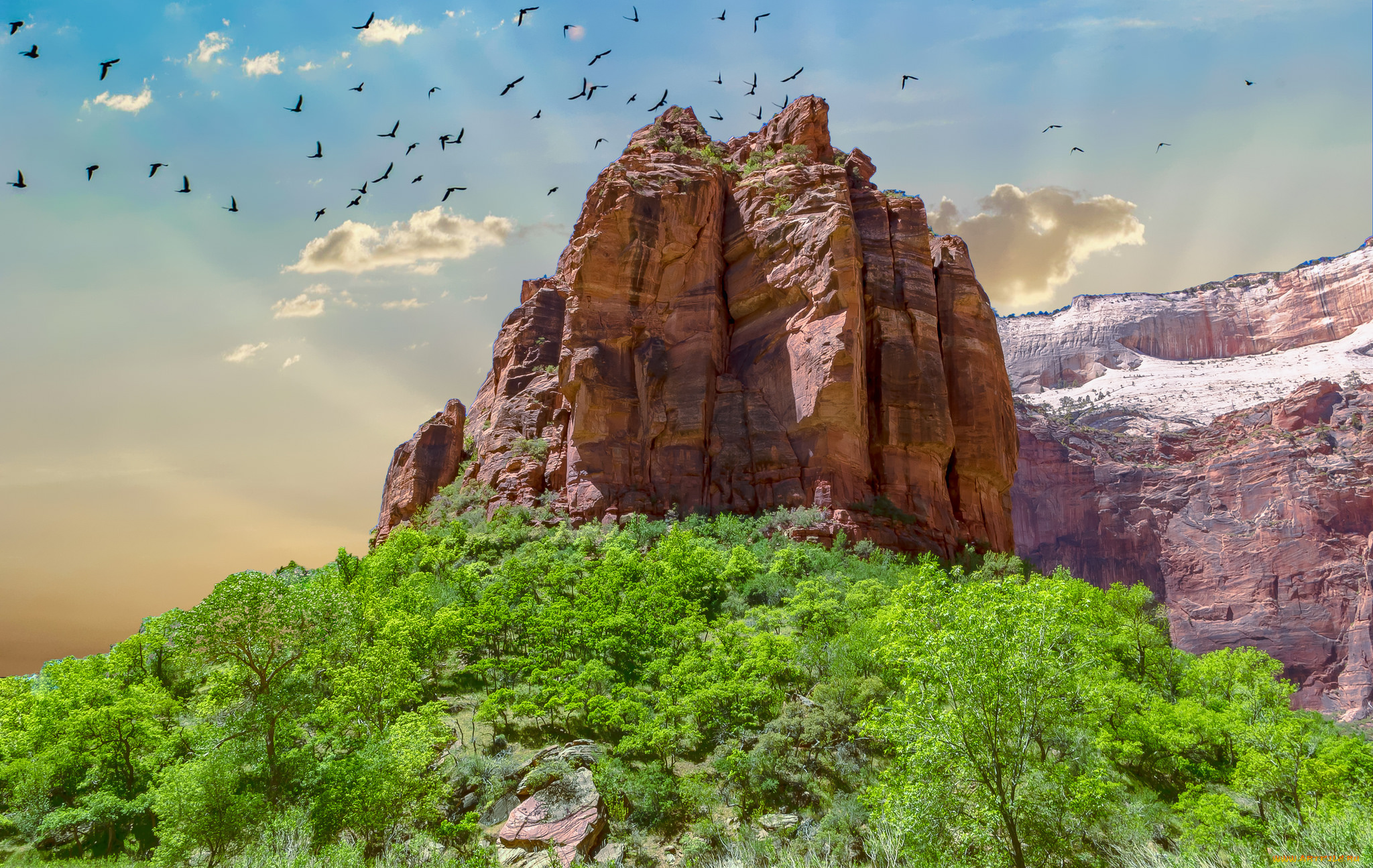 природа, горы, простор