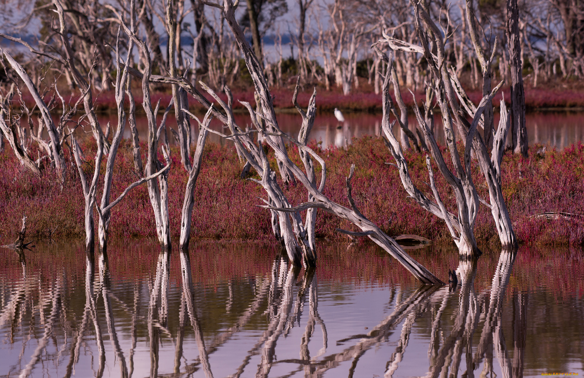 природа, реки, озера, плавни