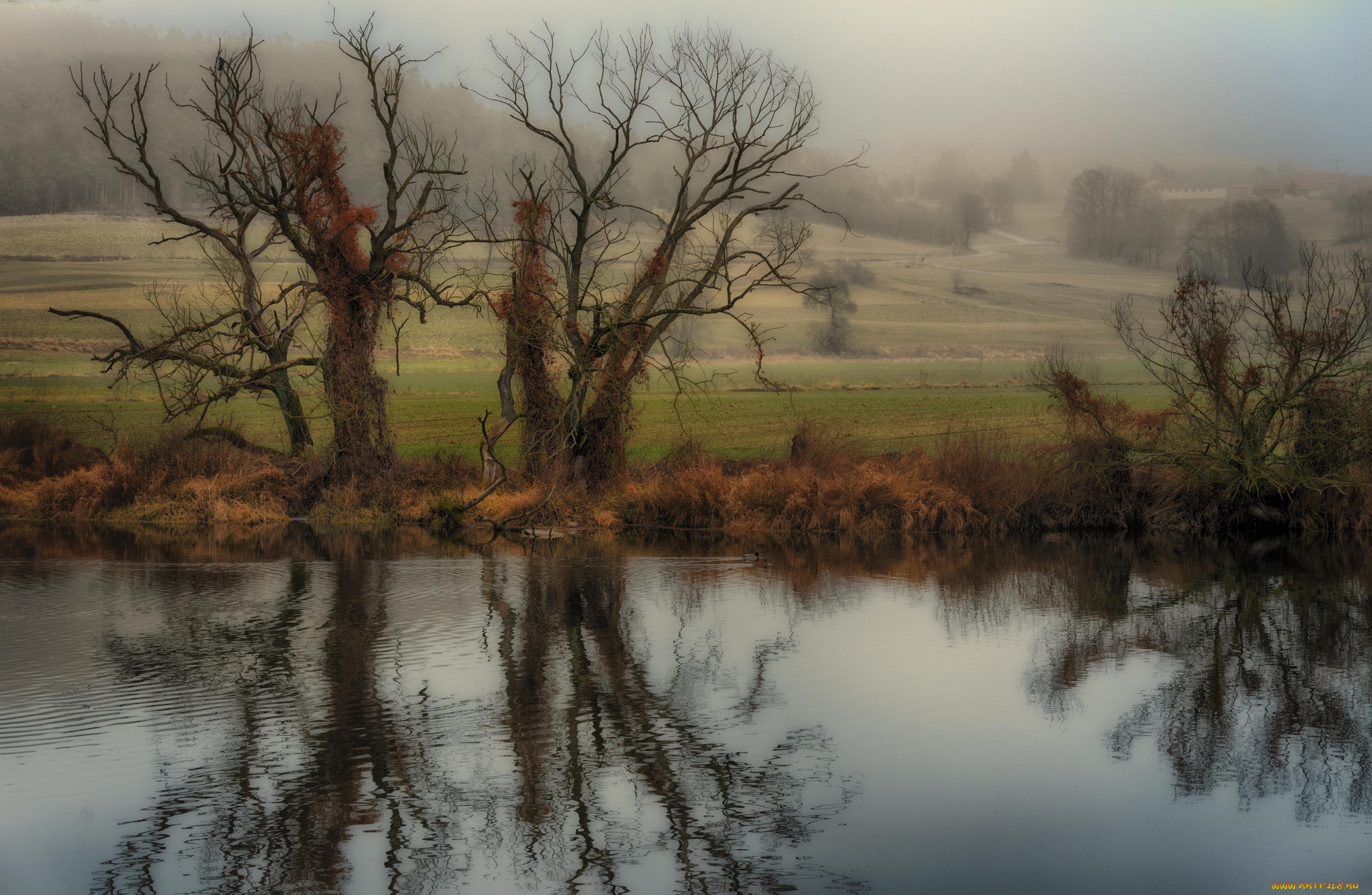природа, реки, озера, простор