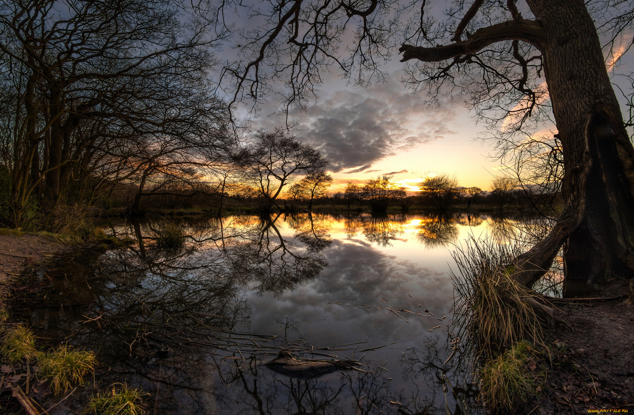 природа, реки, озера, простор