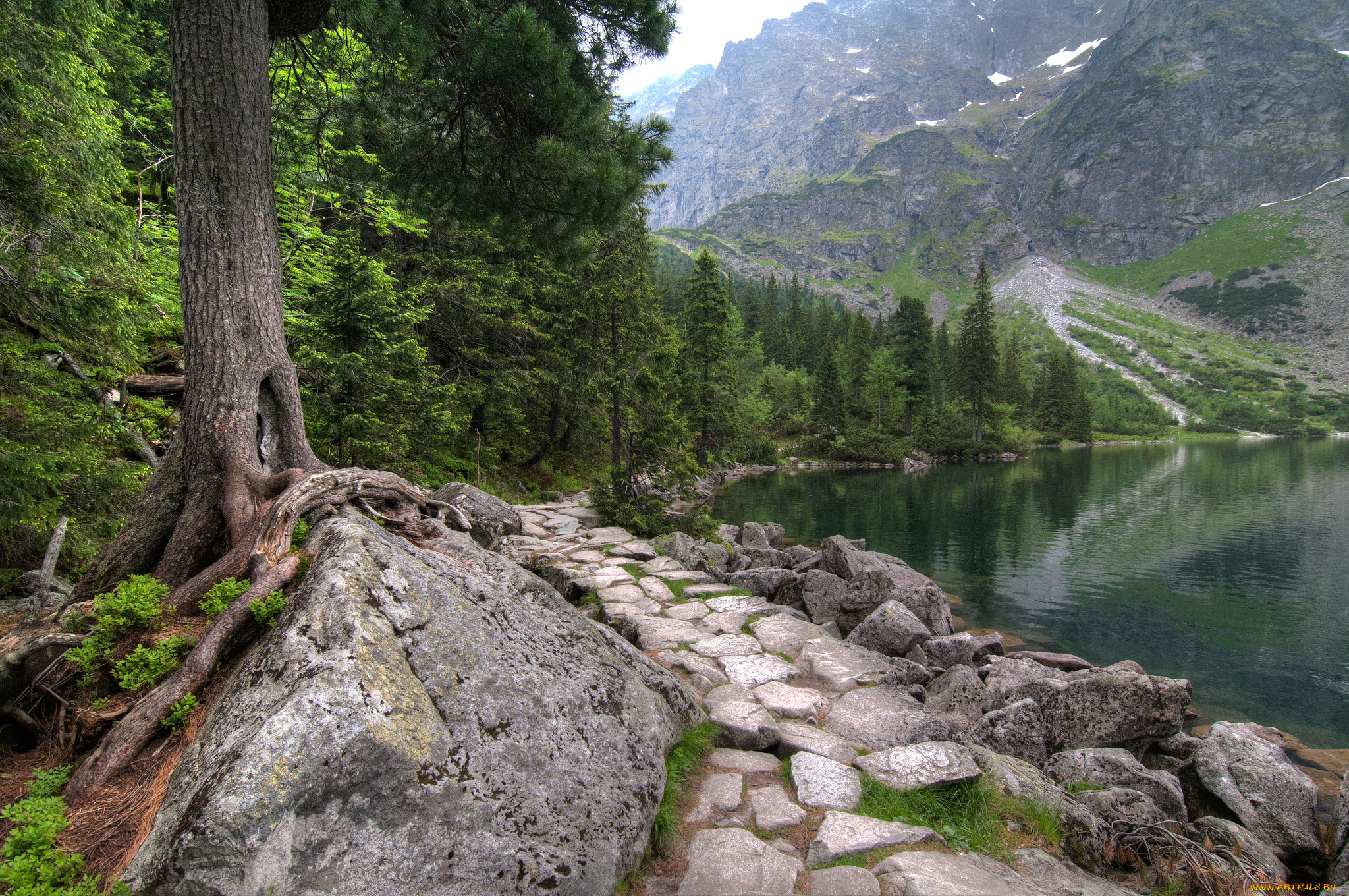 природа, реки, озера, простор