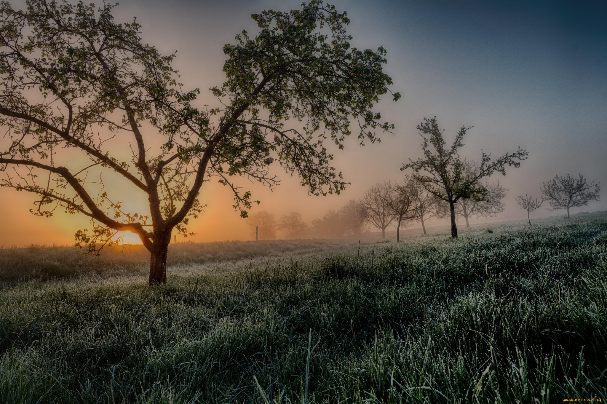 природа, восходы, закаты, простор
