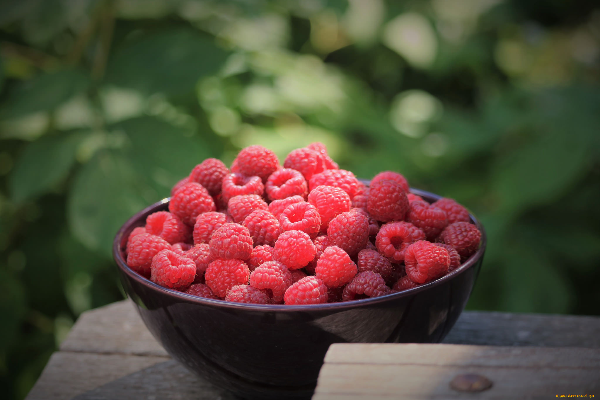 еда, малина