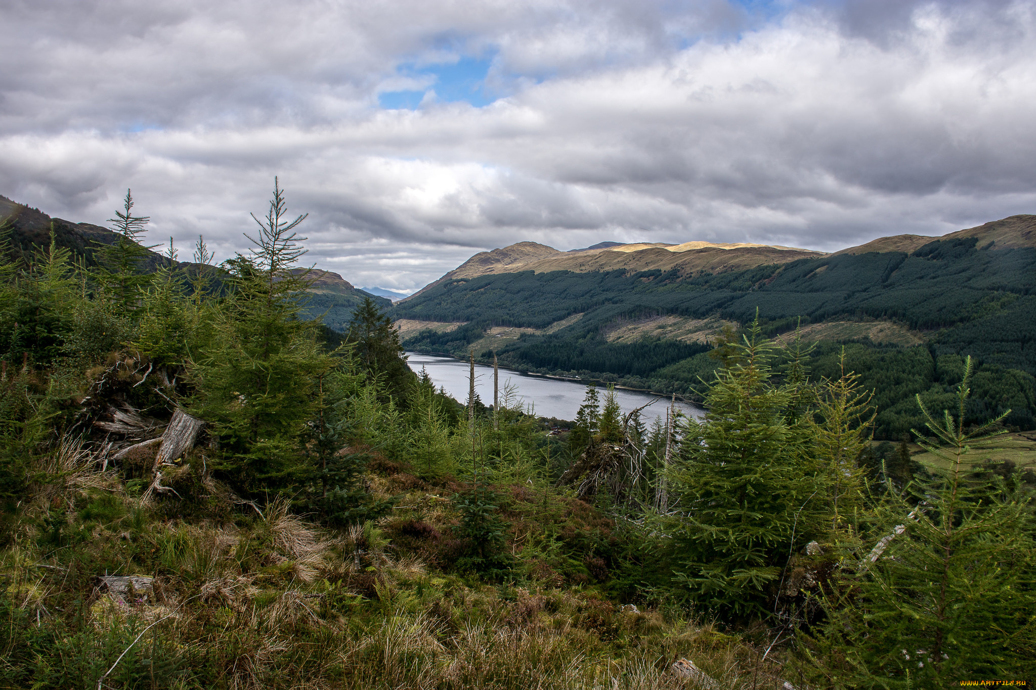 природа, пейзажи, простор