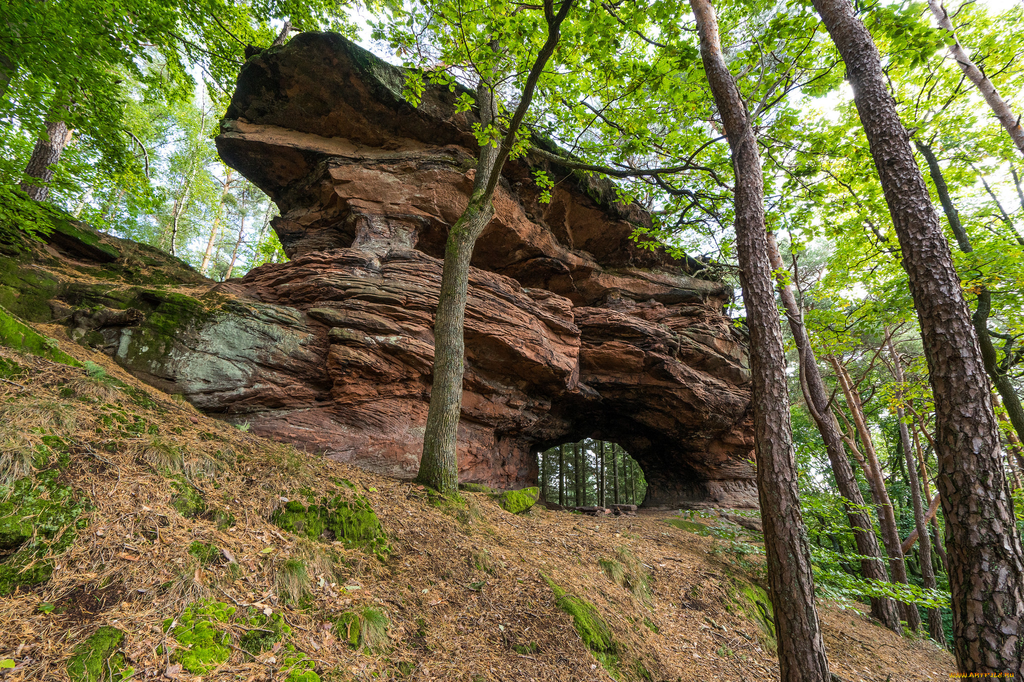 природа, пейзажи, простор