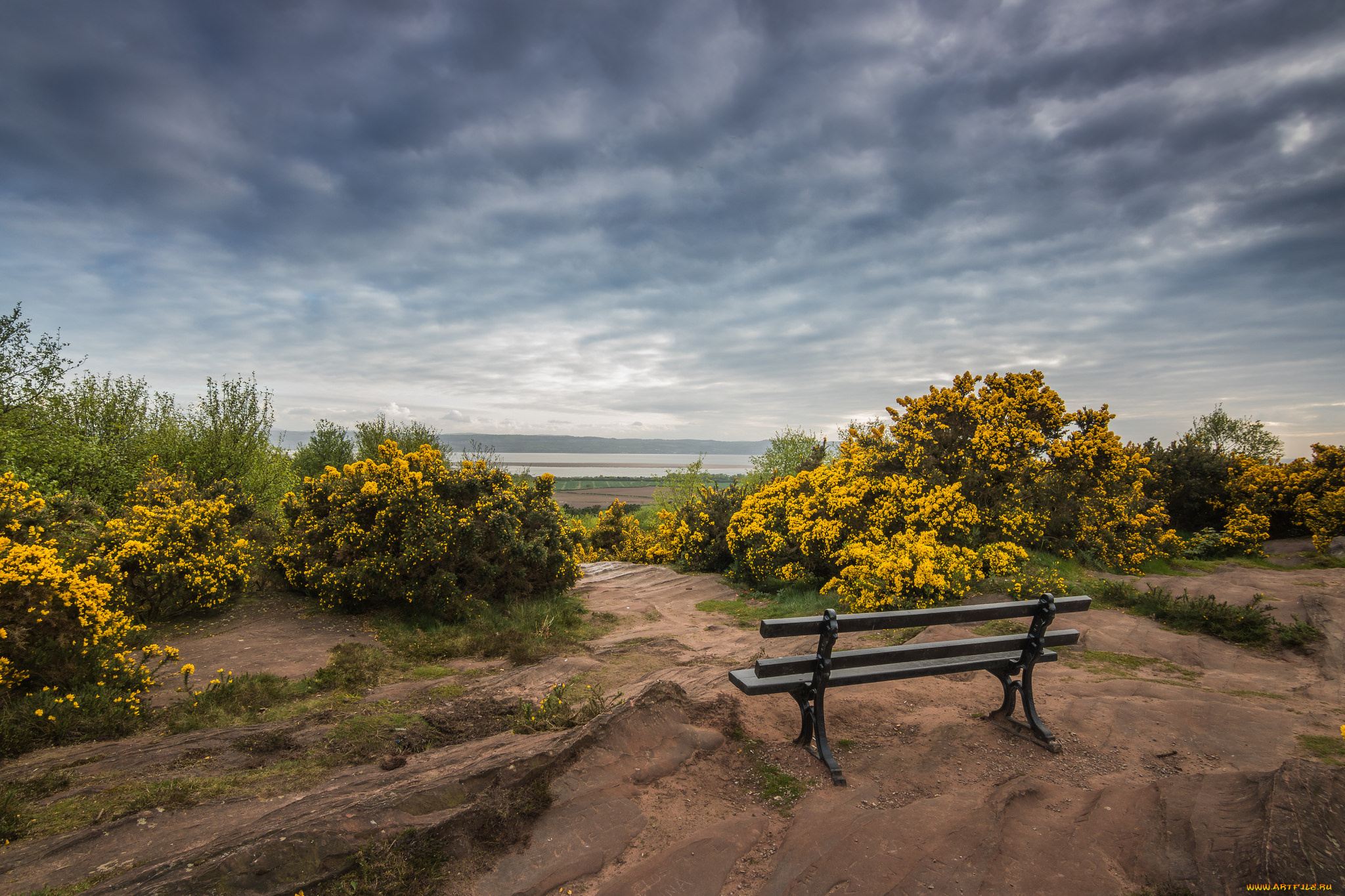 природа, пейзажи, простор