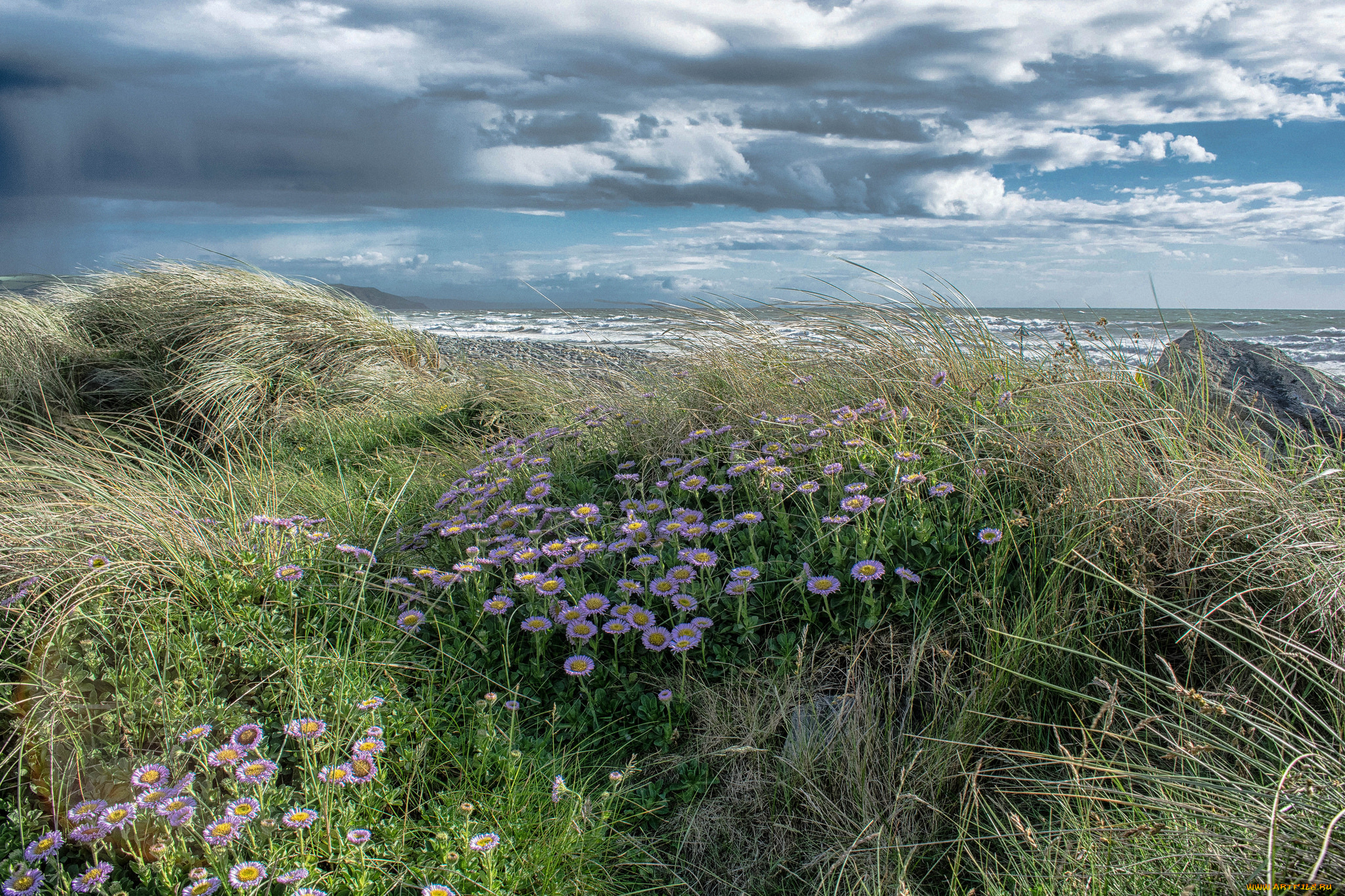 природа, побережье, простор