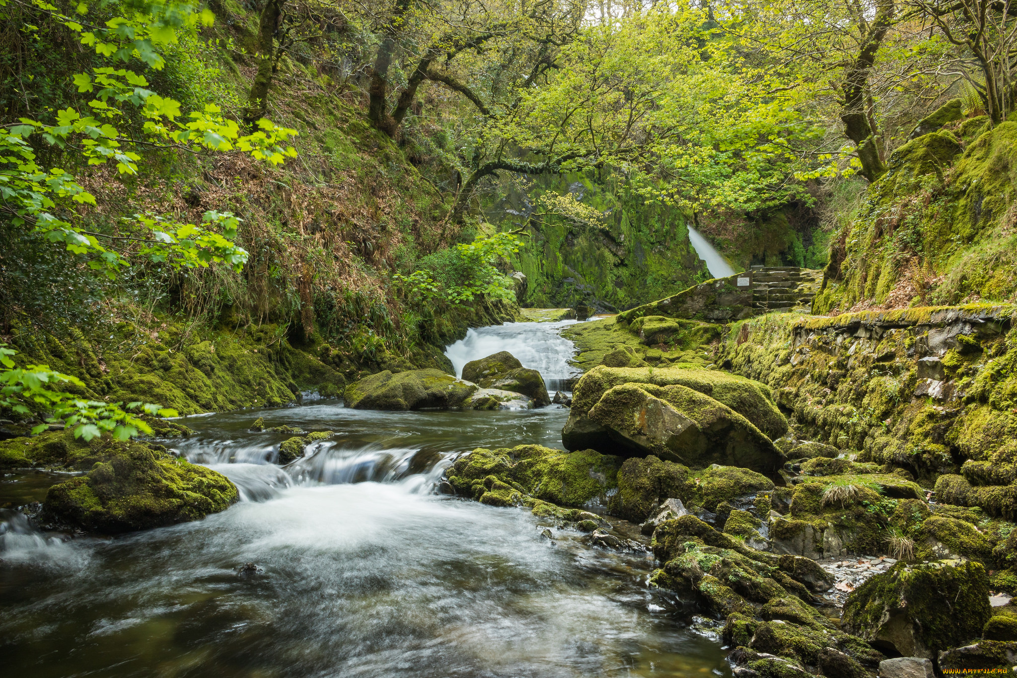 природа, реки, озера, простор