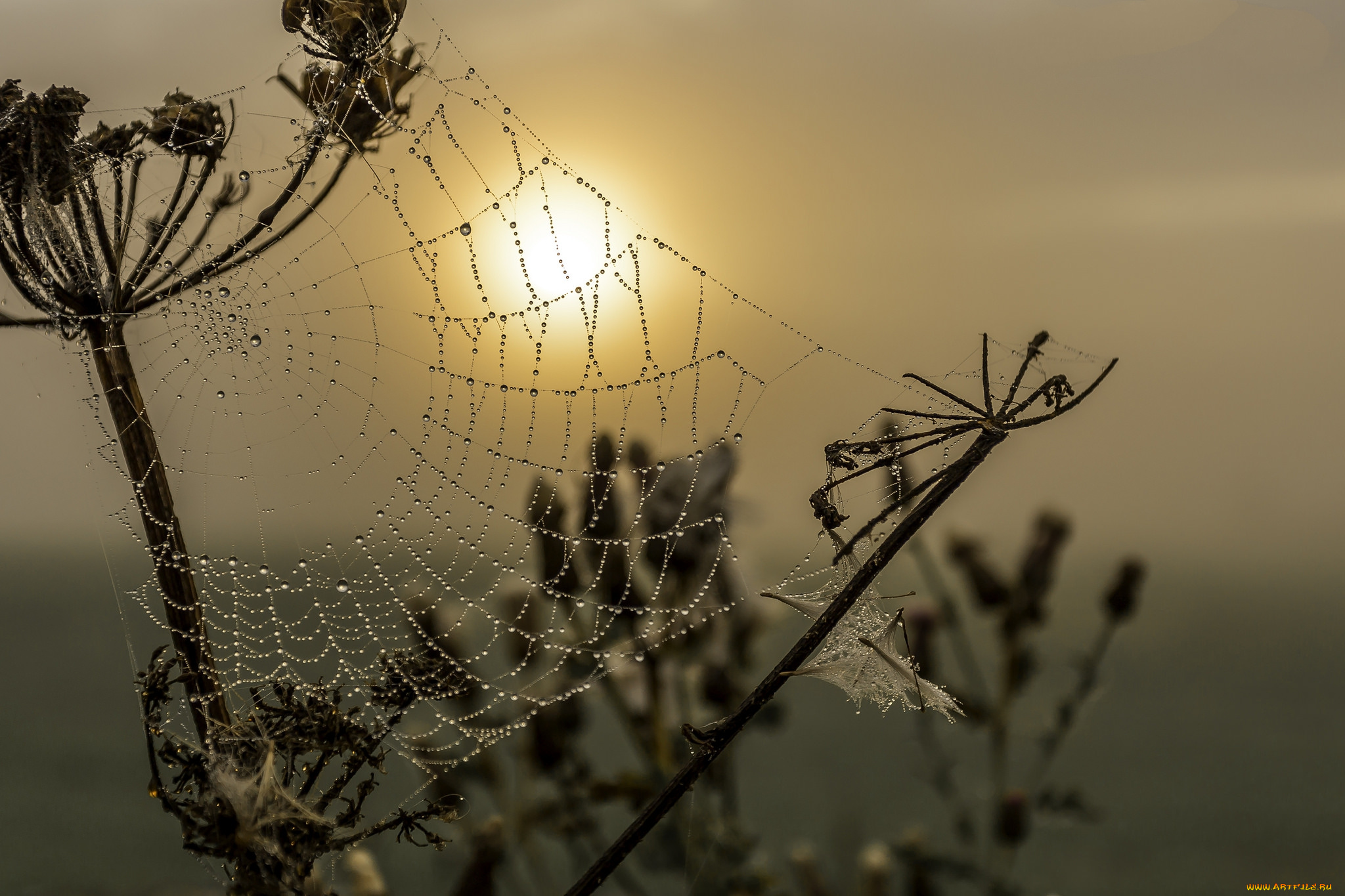 природа, восходы, закаты, простор