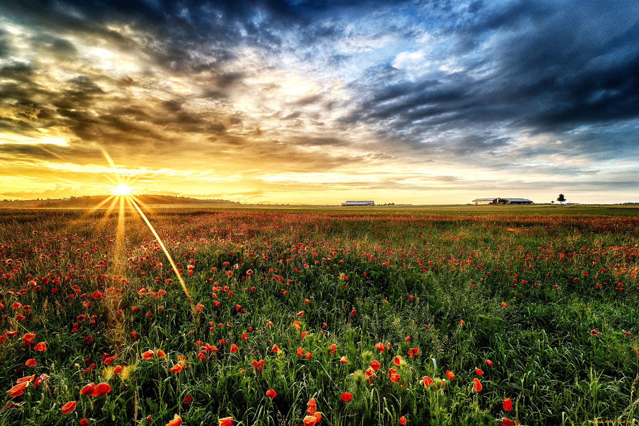 природа, восходы, закаты, простор