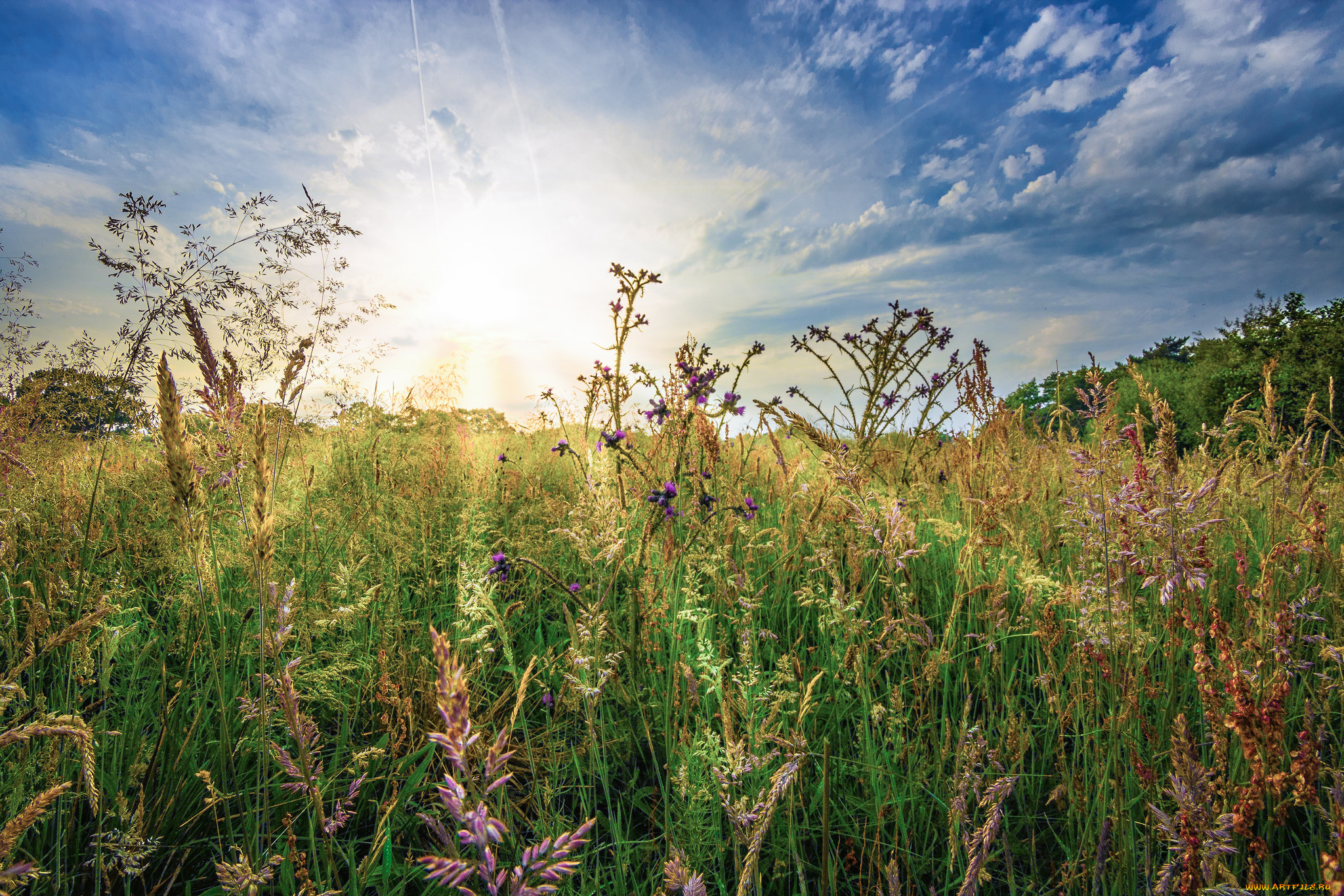 природа, восходы, закаты, простор