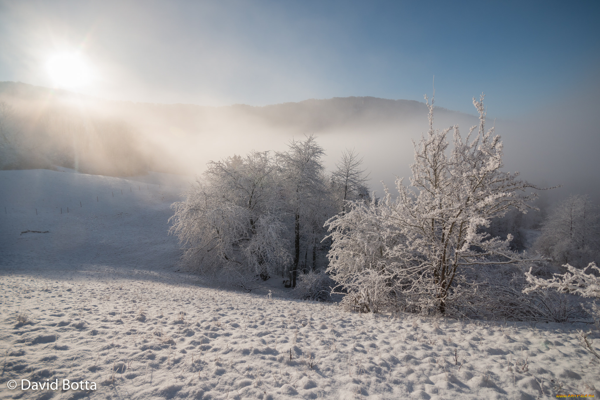 природа, зима