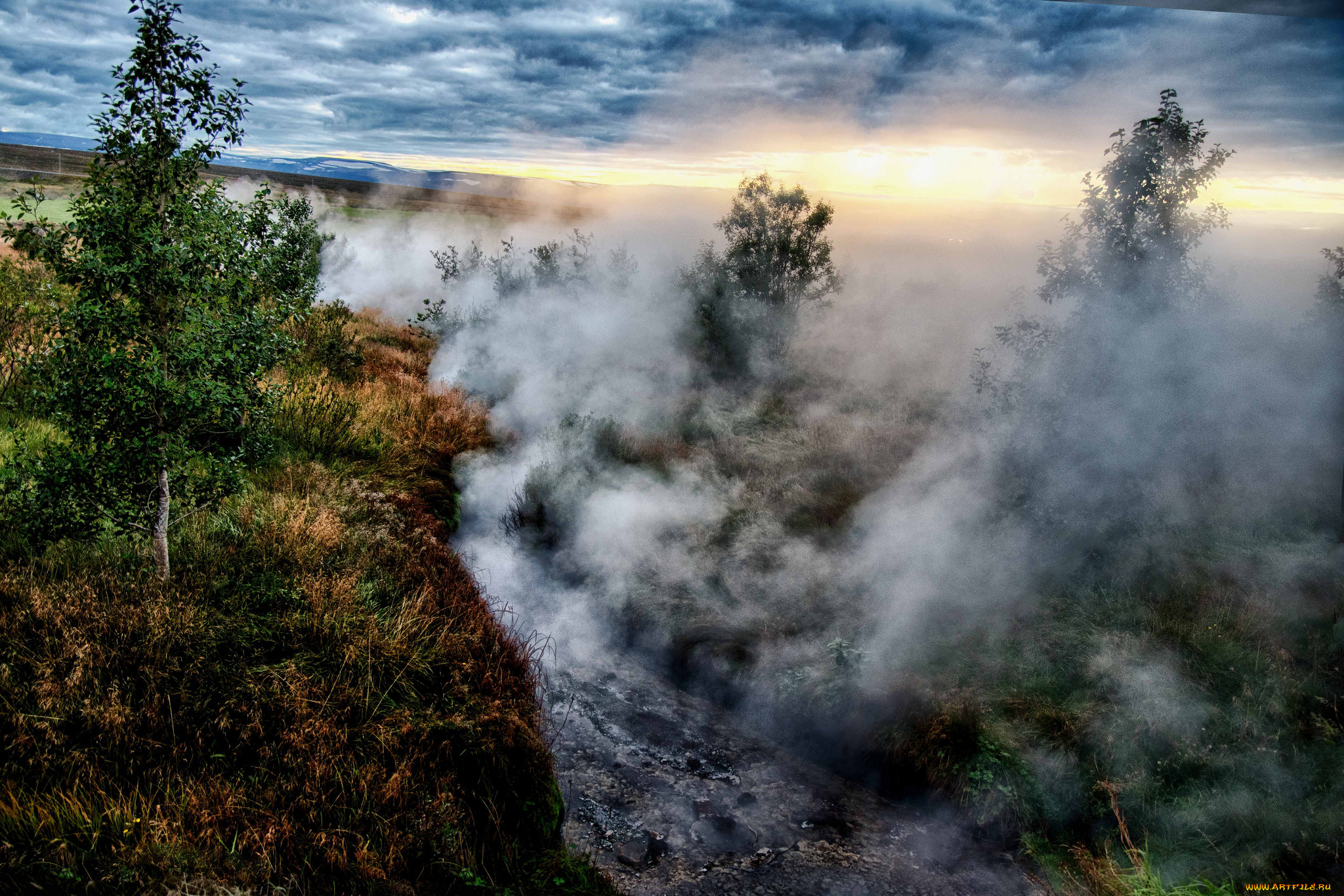 природа, лес, простор