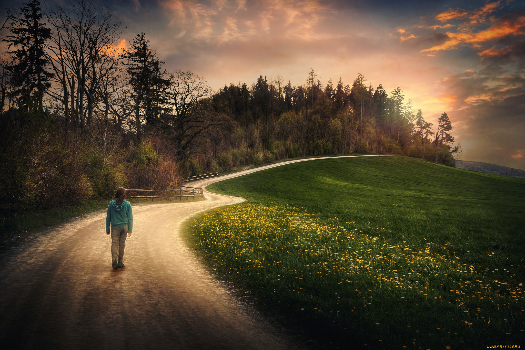 природа, дороги, дорога