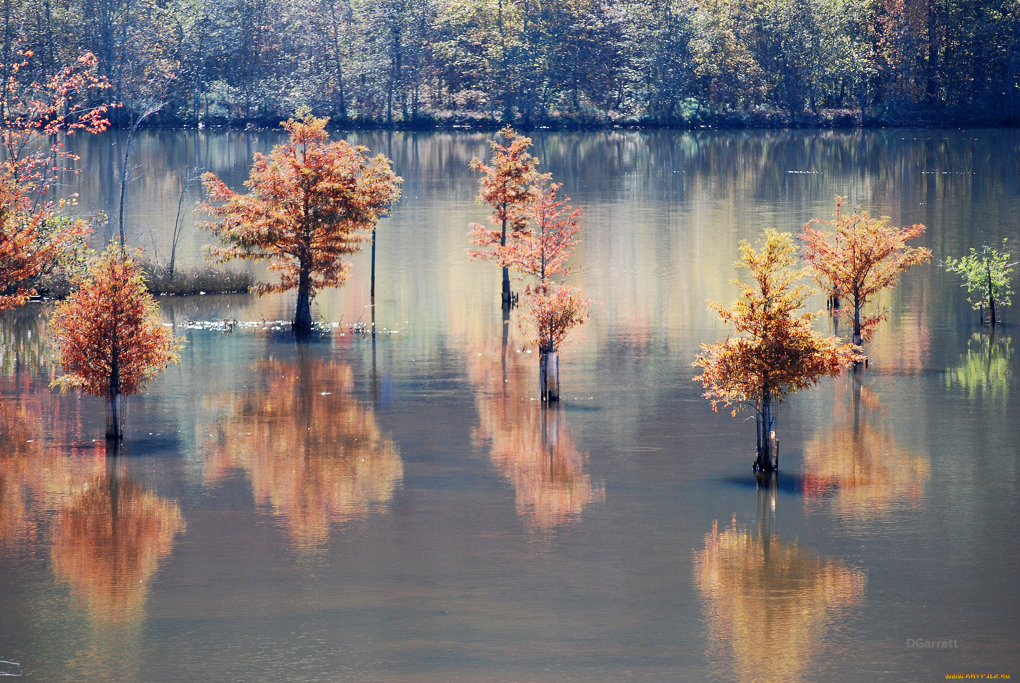 природа, реки, озера, озеро