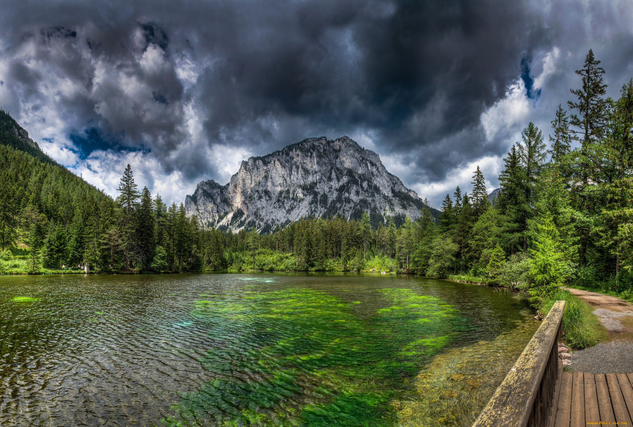 природа, реки, озера, простор