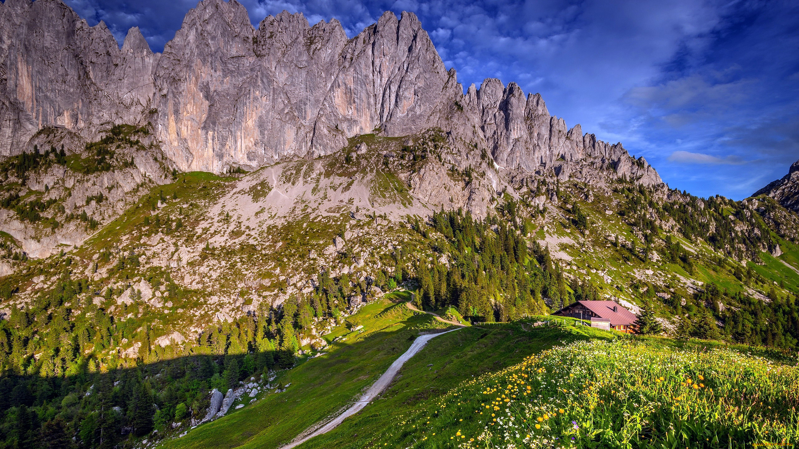 природа, горы, лес, луг, дом