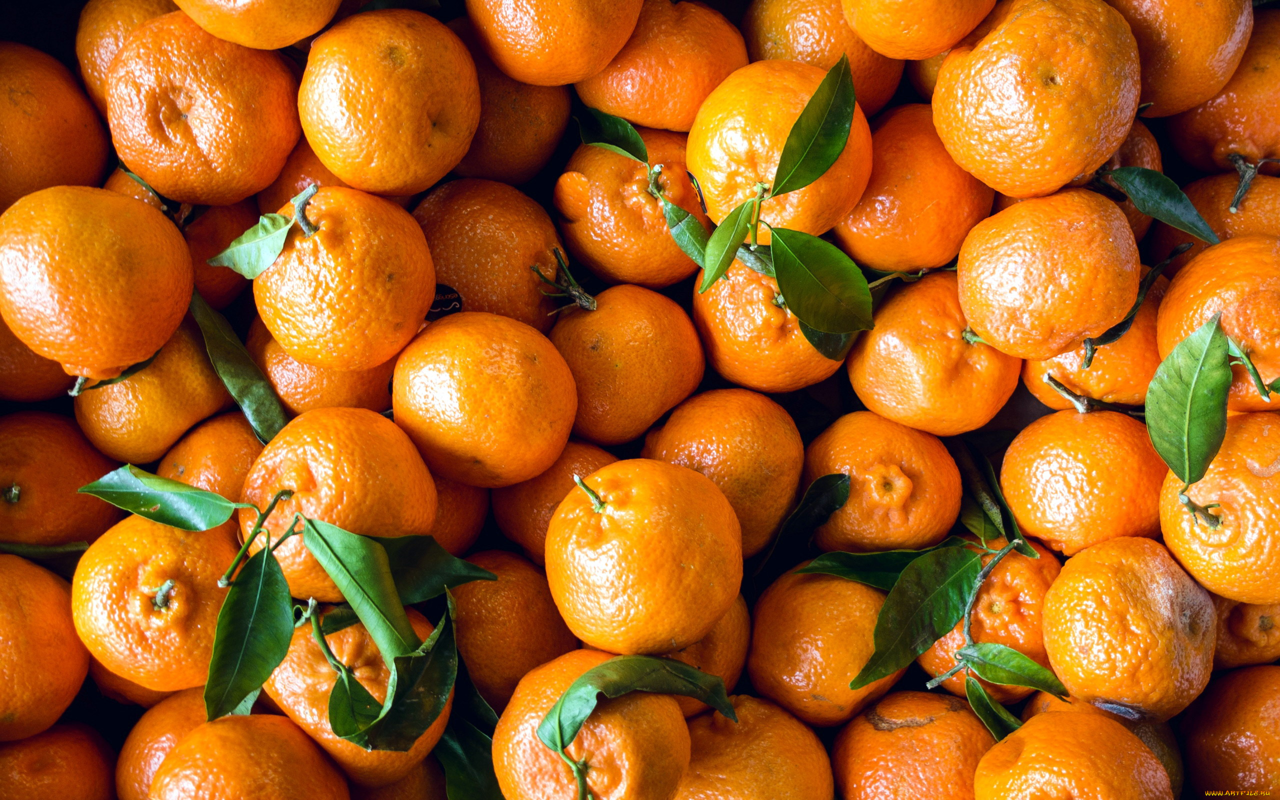 еда, цитрусы, много, мандарины