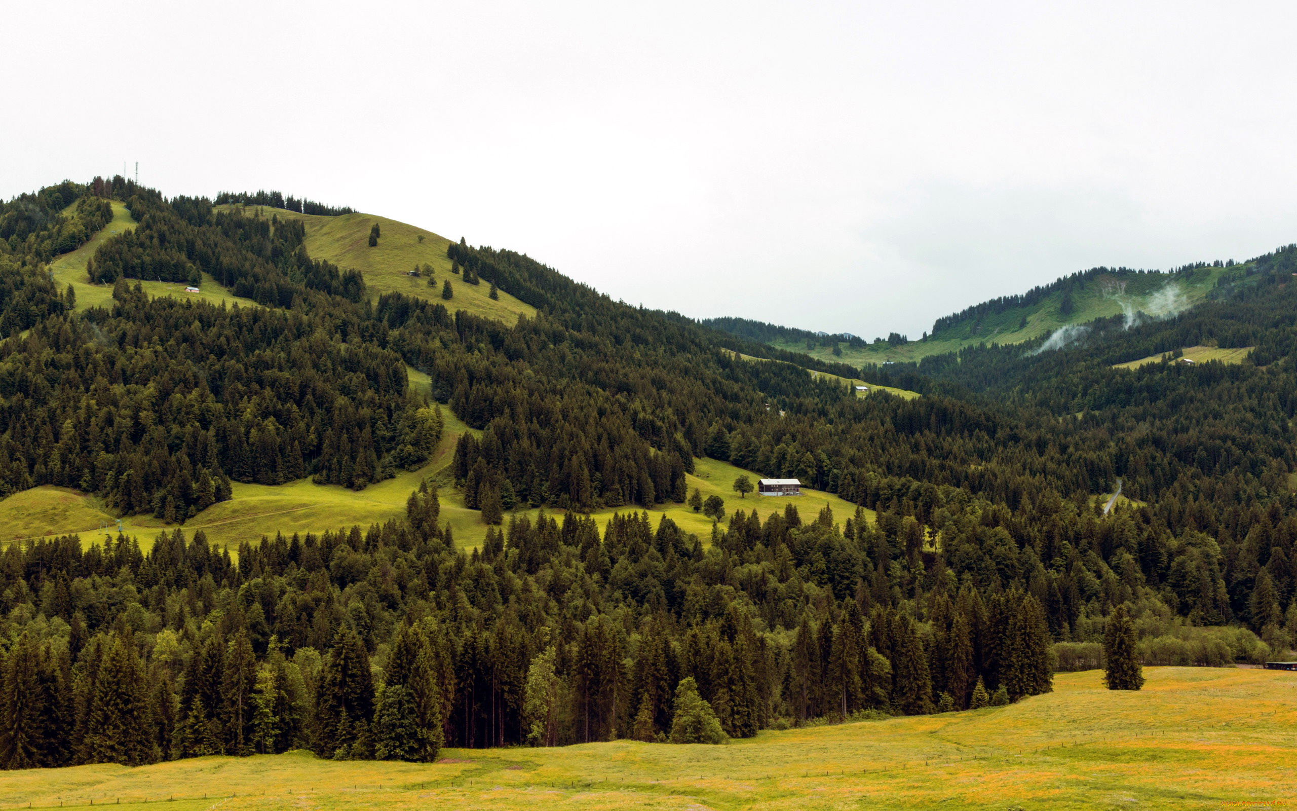 природа, горы, холмы, деревья, домик