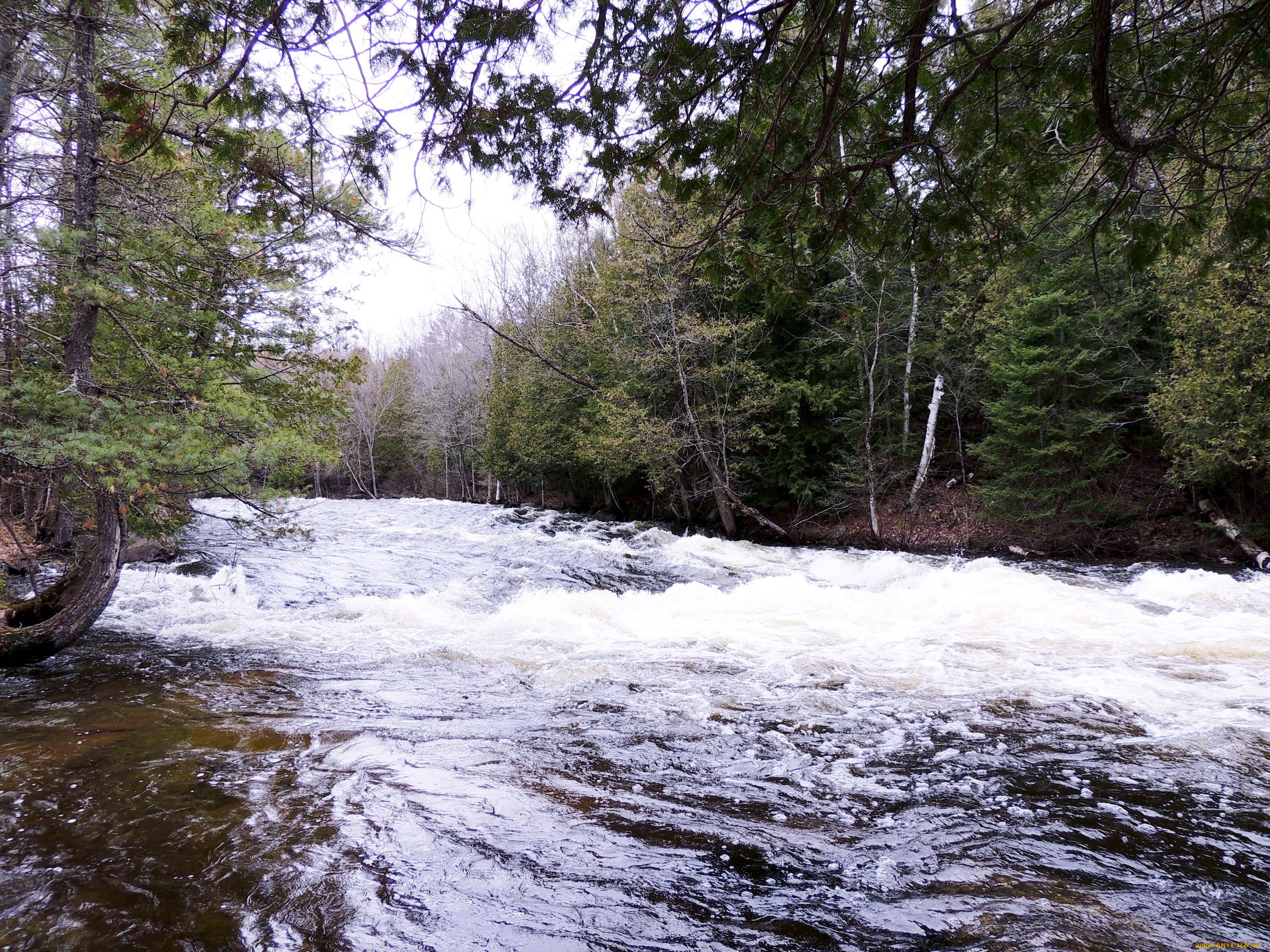 природа, реки, озера, бурная, река