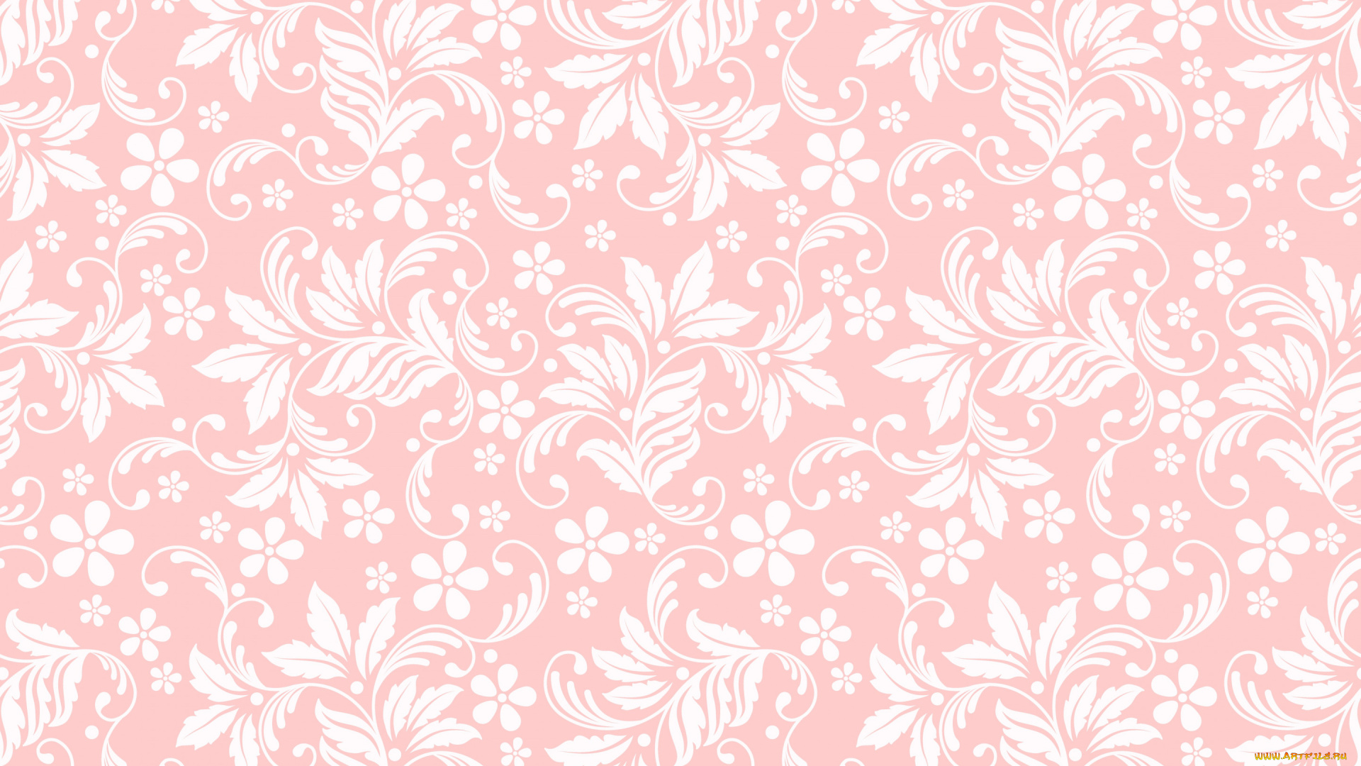 векторная, графика, -графика, , graphics, текстура, цветочный, орнамент, бесшовный, розовый, фон