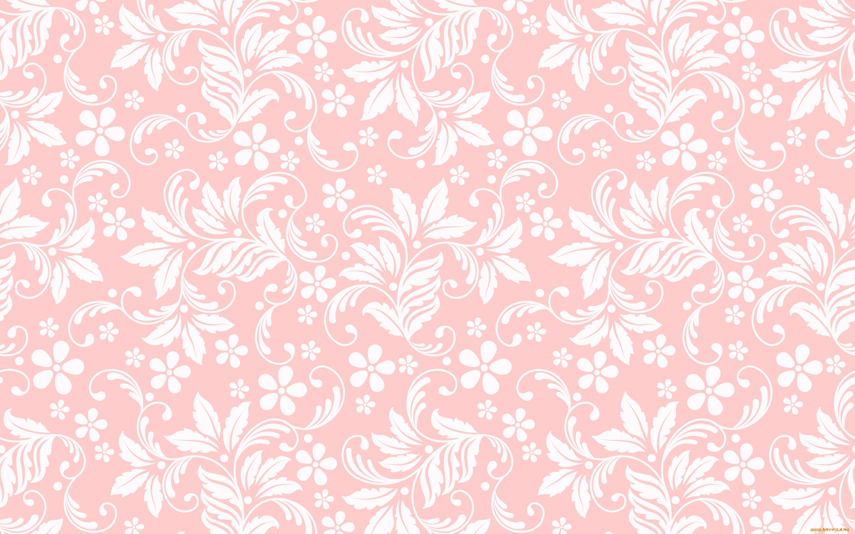 векторная, графика, -графика, , graphics, текстура, цветочный, орнамент, бесшовный, розовый, фон